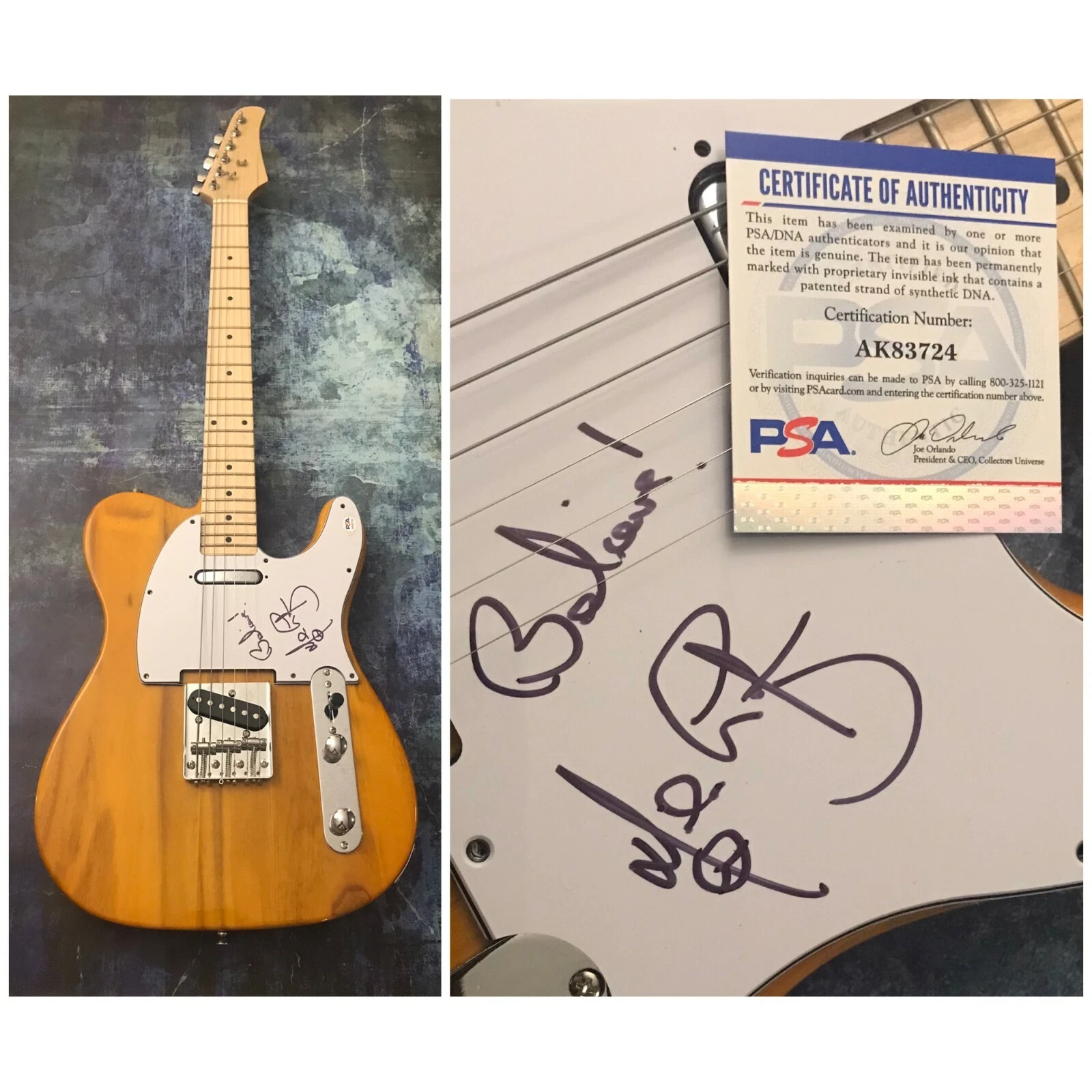 PSA  E-Street Band Guitarist  * NILS LOFGREN *  Signed Electric Tele Guitar COA