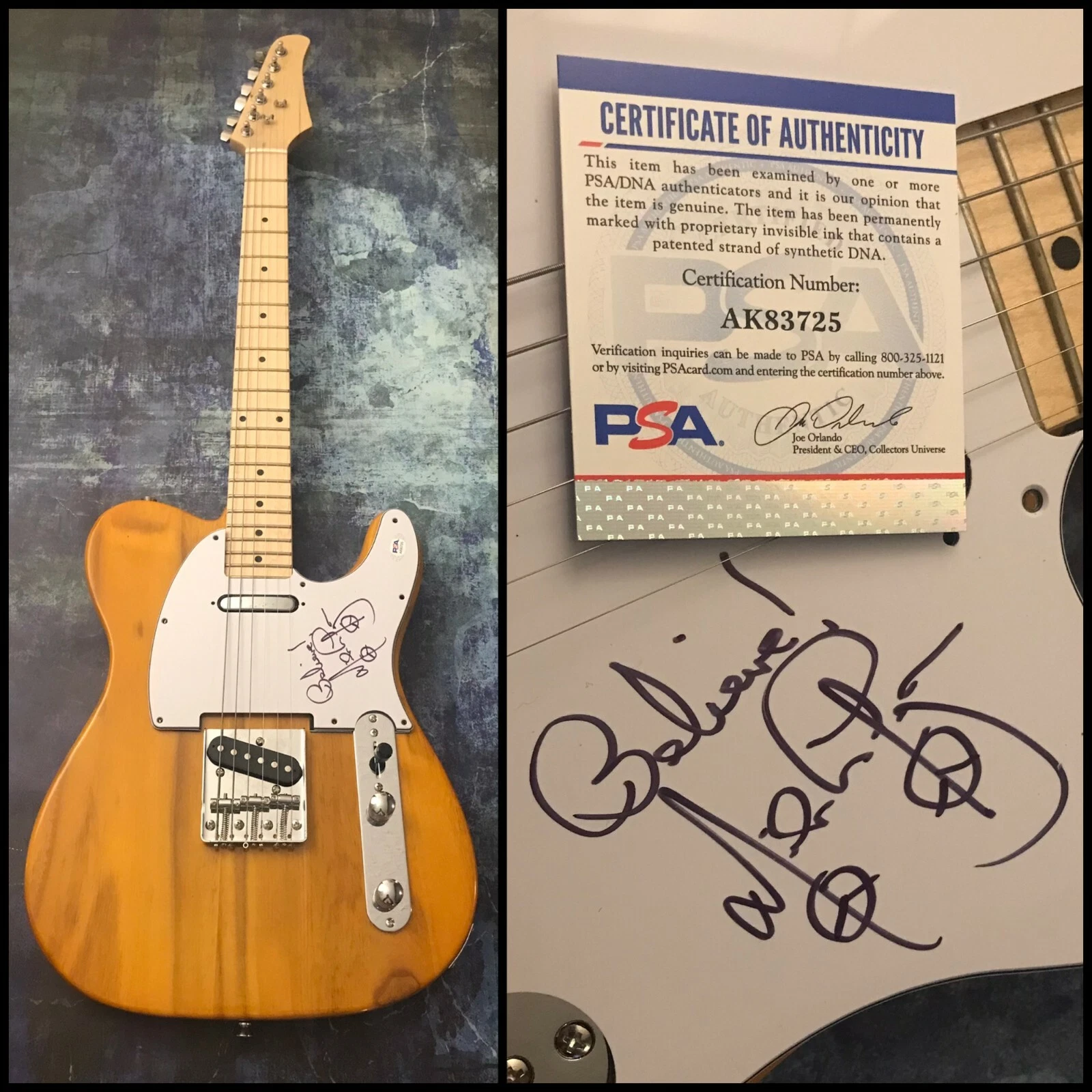 PSA  E-Street Band Guitarist  * NILS LOFGREN *  Signed Electric Tele Guitar  COA