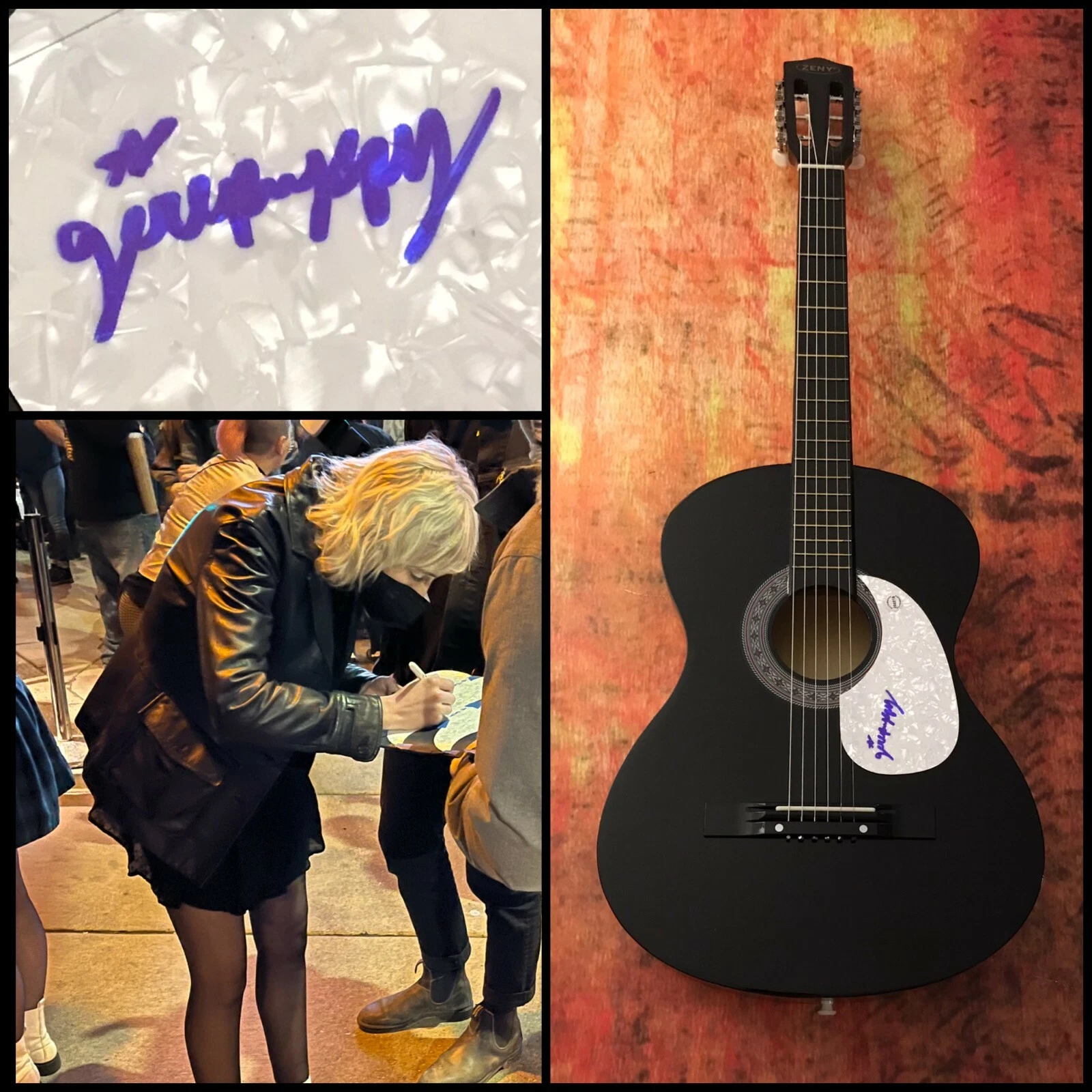 GFA Becca Harvey As Much as I Can  * GIRLPUPPY *  Signed Acoustic Guitar G3 COA