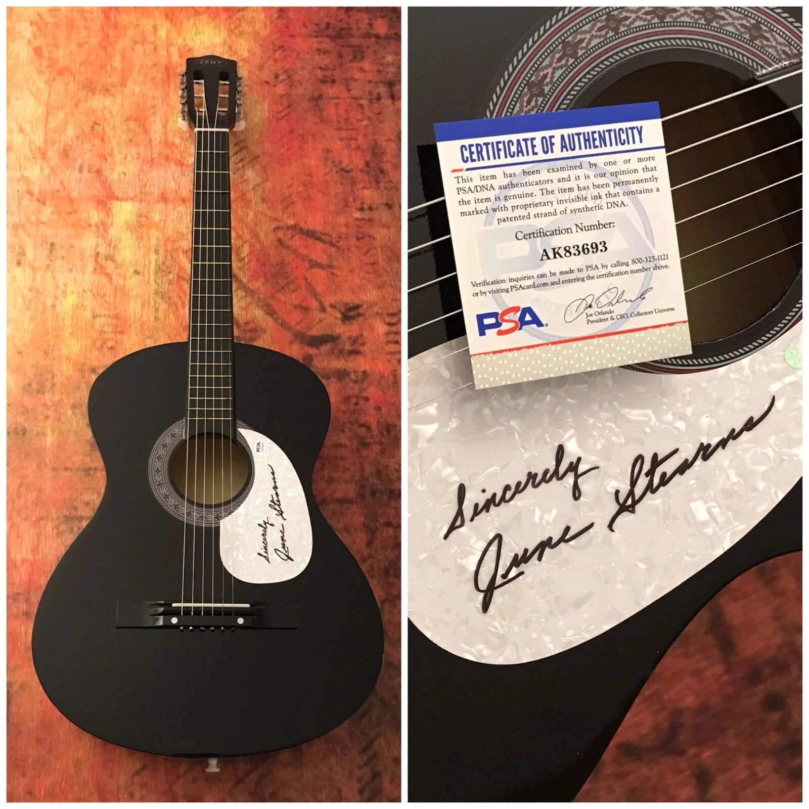 PSA  Just Another Song Star  * JUNE STEARNS *  Signed Acoustic Guitar J3 COA