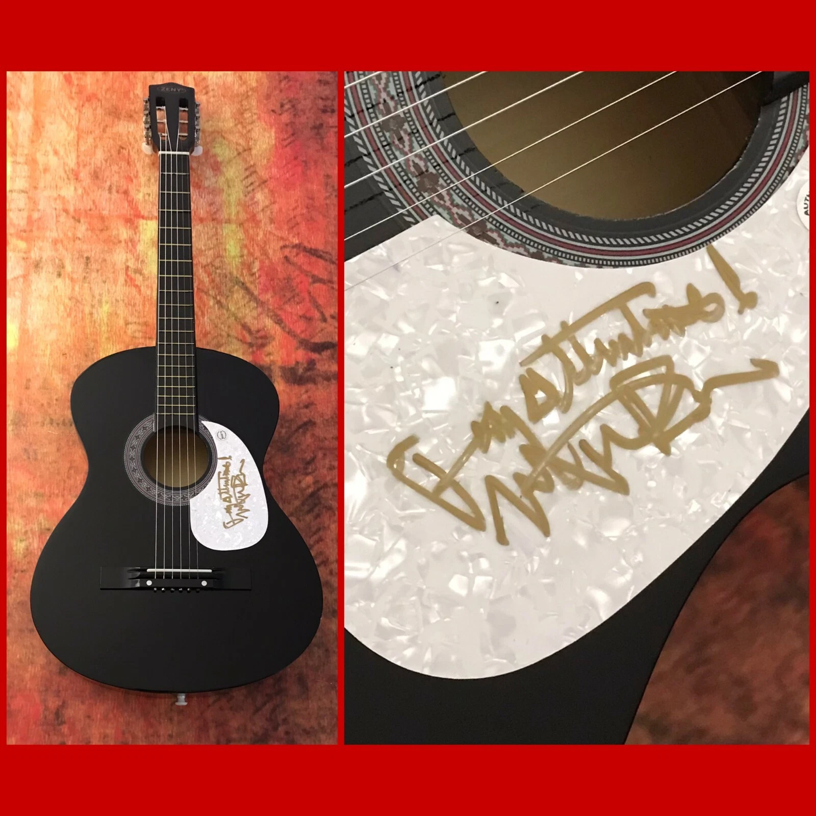 GFA Jenny Take a Ride  * MITCH RYDER *  Signed Acoustic Guitar M2 COA