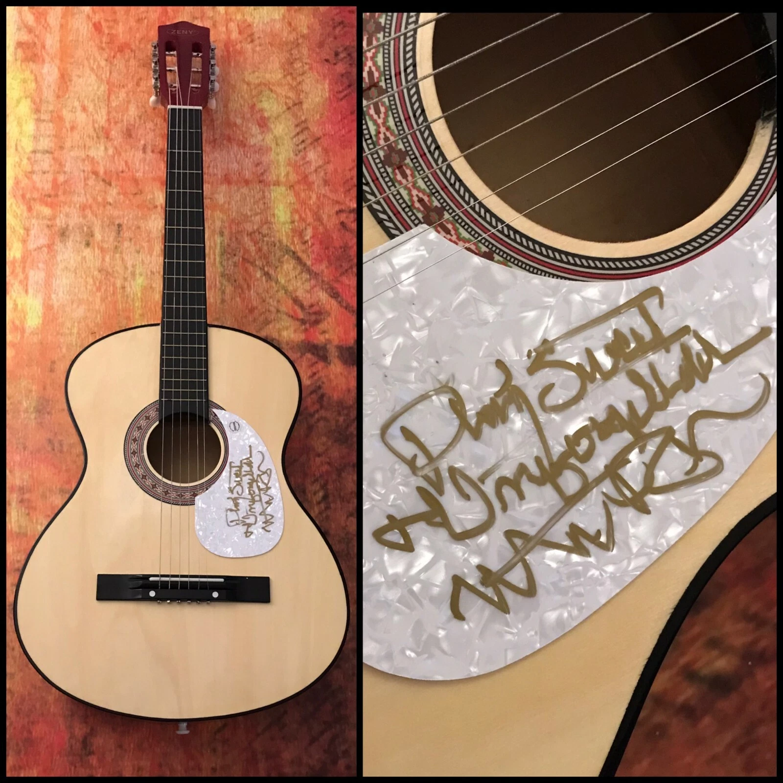 GFA Jenny Take a Ride  * MITCH RYDER *  Signed Acoustic Guitar M3 COA