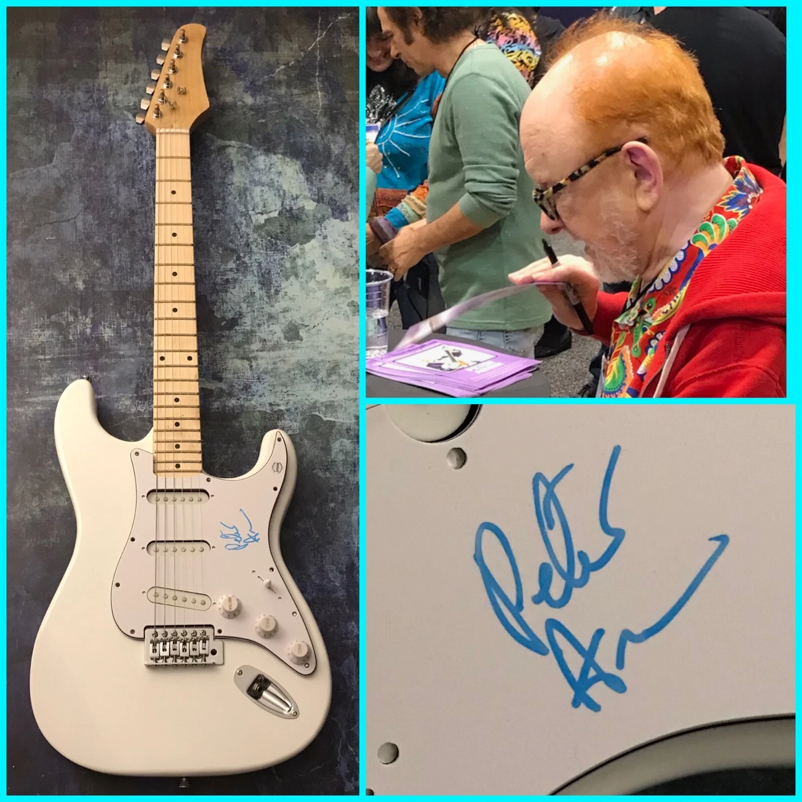 GFA  A World Without Love  * PETER ASHER *  Signed Electric Guitar PROOF P4 COA