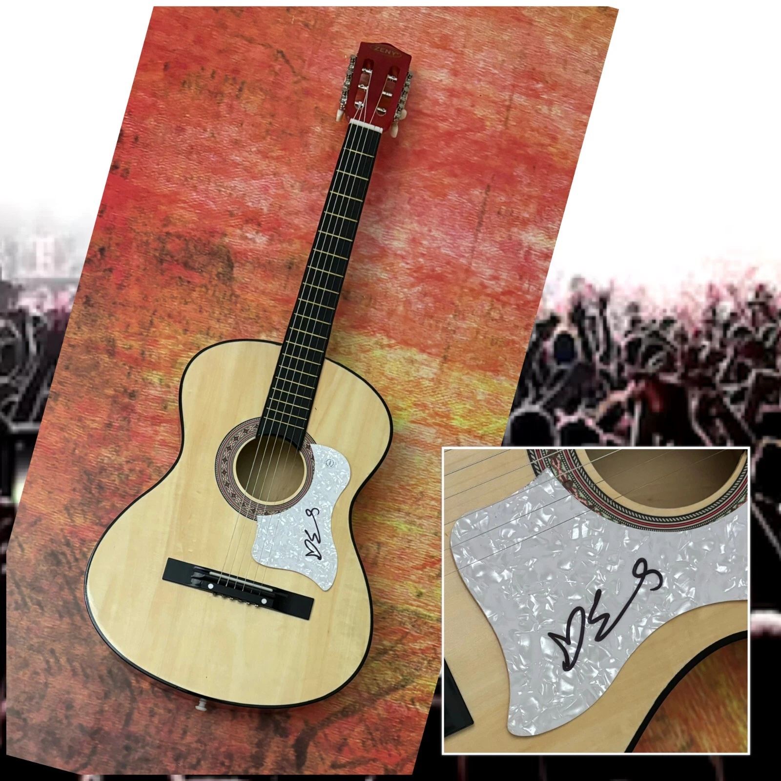 GFA Indigo Girls Band Star  * EMILY SALIERS *  Signed Acoustic Guitar COA