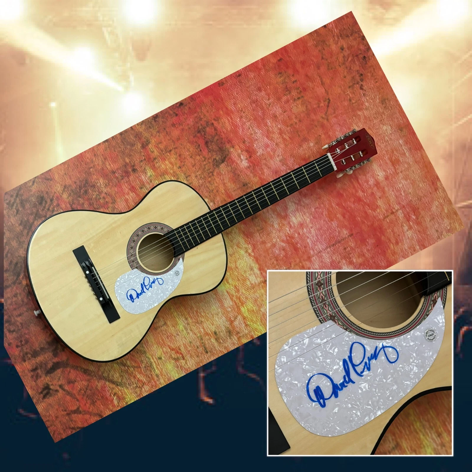 GFA  Jefferson Airplane  * DAVID FREIBERG *  Signed Acoustic Guitar PROOF COA