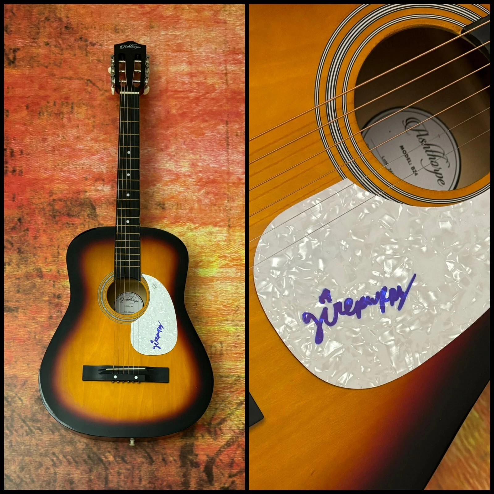 GFA Becca Harvey As Much as I Can  * GIRLPUPPY *  Signed Acoustic Guitar G5 COA