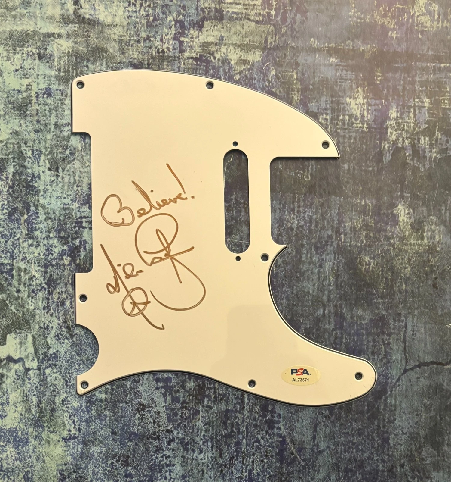 PSA  E-Street Band Guitarist  * NILS LOFGREN *  Signed Electric Pickguard  COA