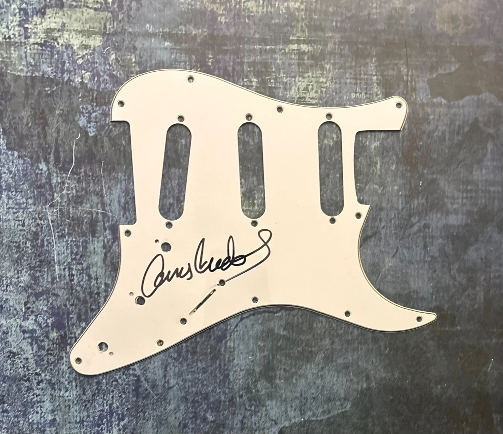 The Dark Knight Composer  * JAMES NEWTON HOWARD * Signed Electric Pickguard COA