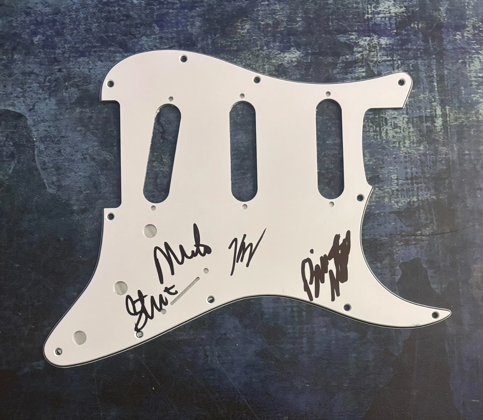 GFA Milo Aukerman x4 Band  * THE DESCENDENTS *  Signed Electric Pickguard COA