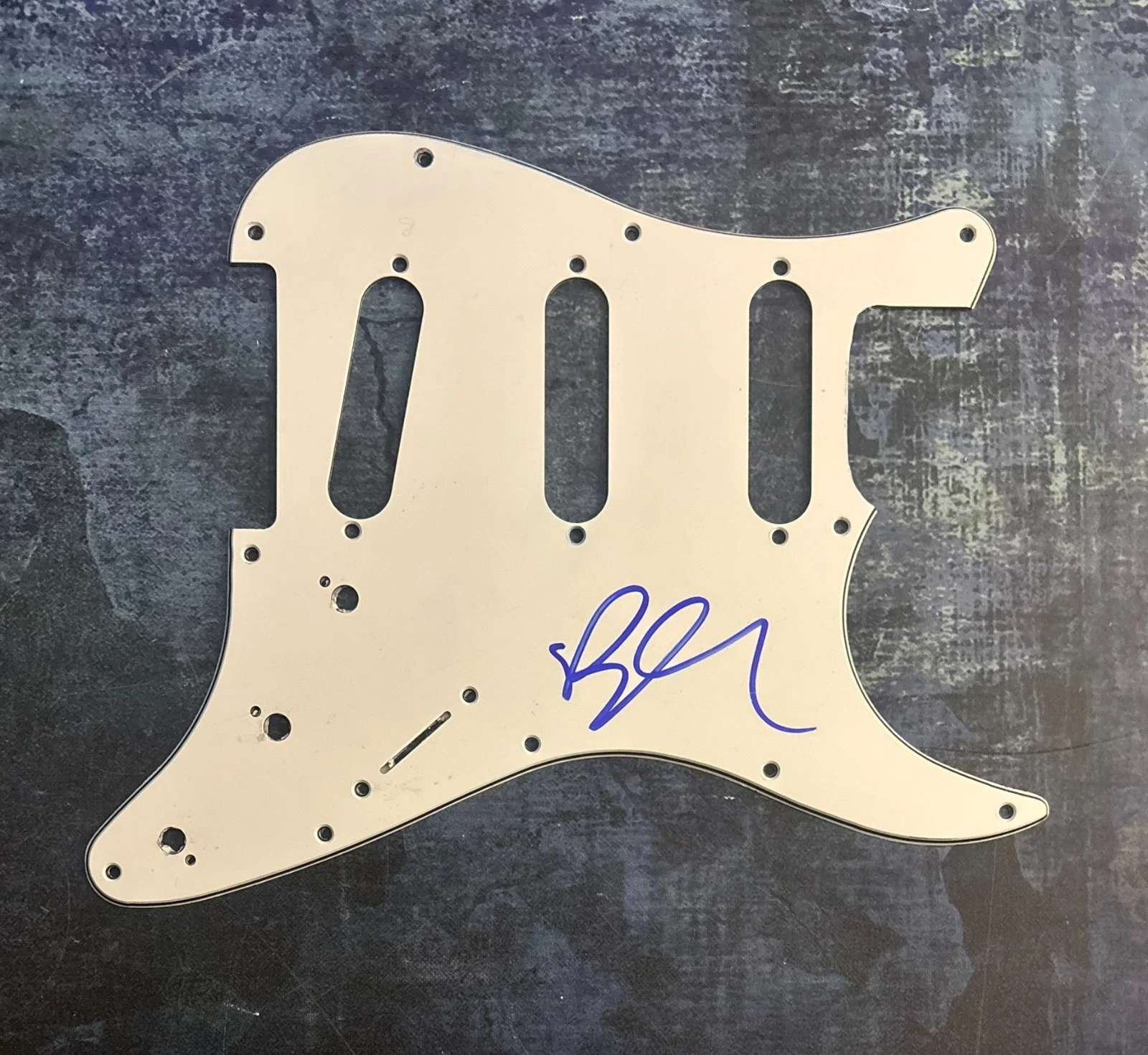 GFA Sexy Figure it Out Star * BLU DeTIGER * Signed Electric Pickguard PROOF COA