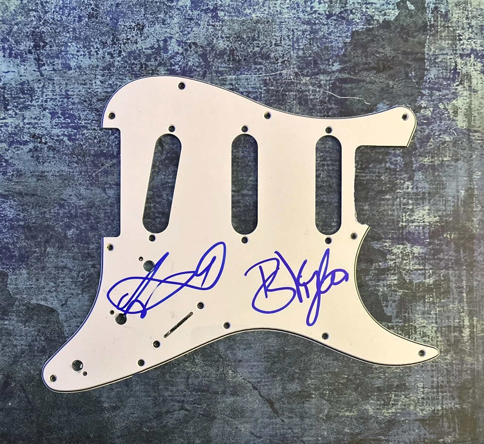 GFA Amanda Palmer & Brian V. * THE DRESDEN DOLLS * Signed Electric Pickguard COA