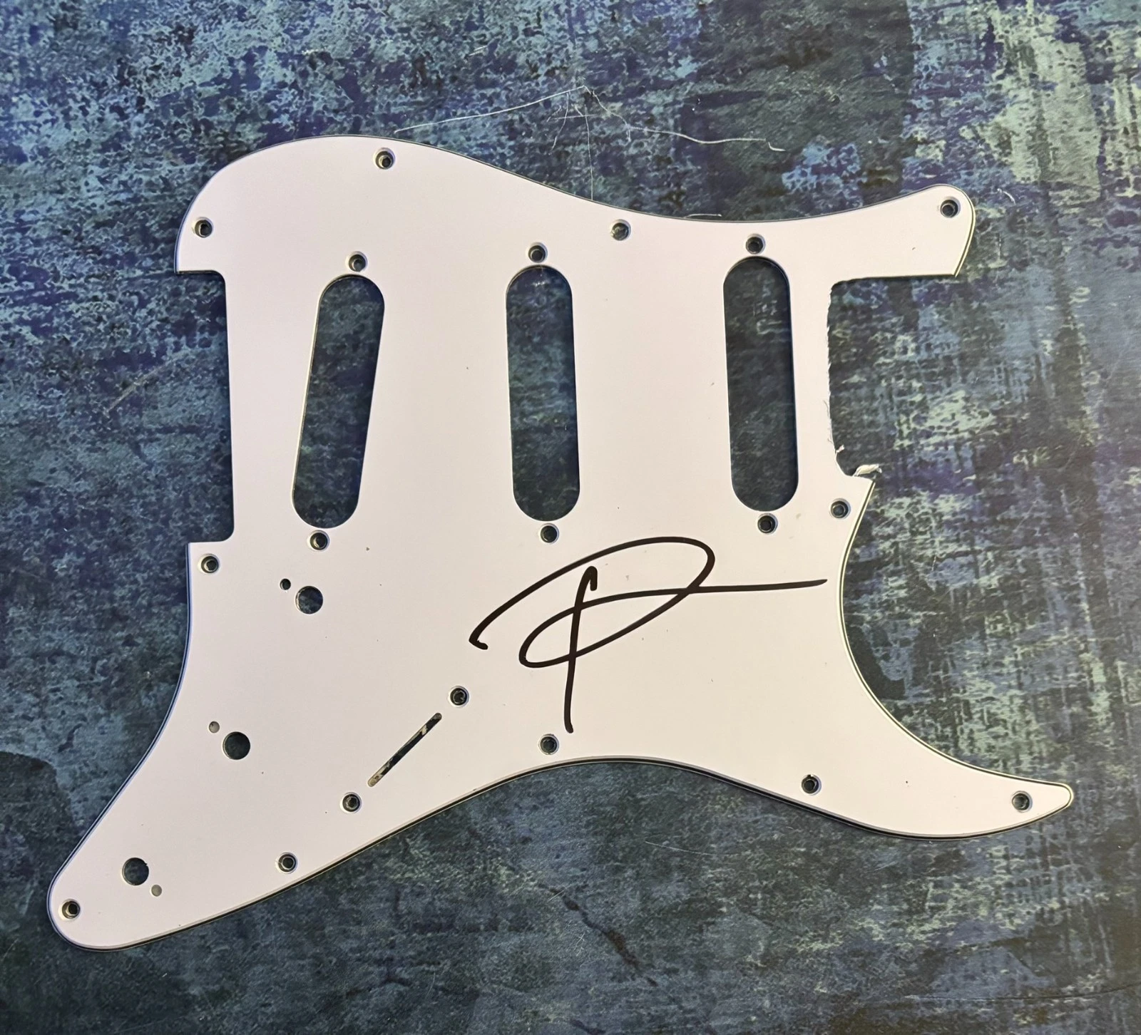 PSA Pantera Band Rock Star  * PHIL ANSELMO * Signed Electric Pickguard PROOF COA