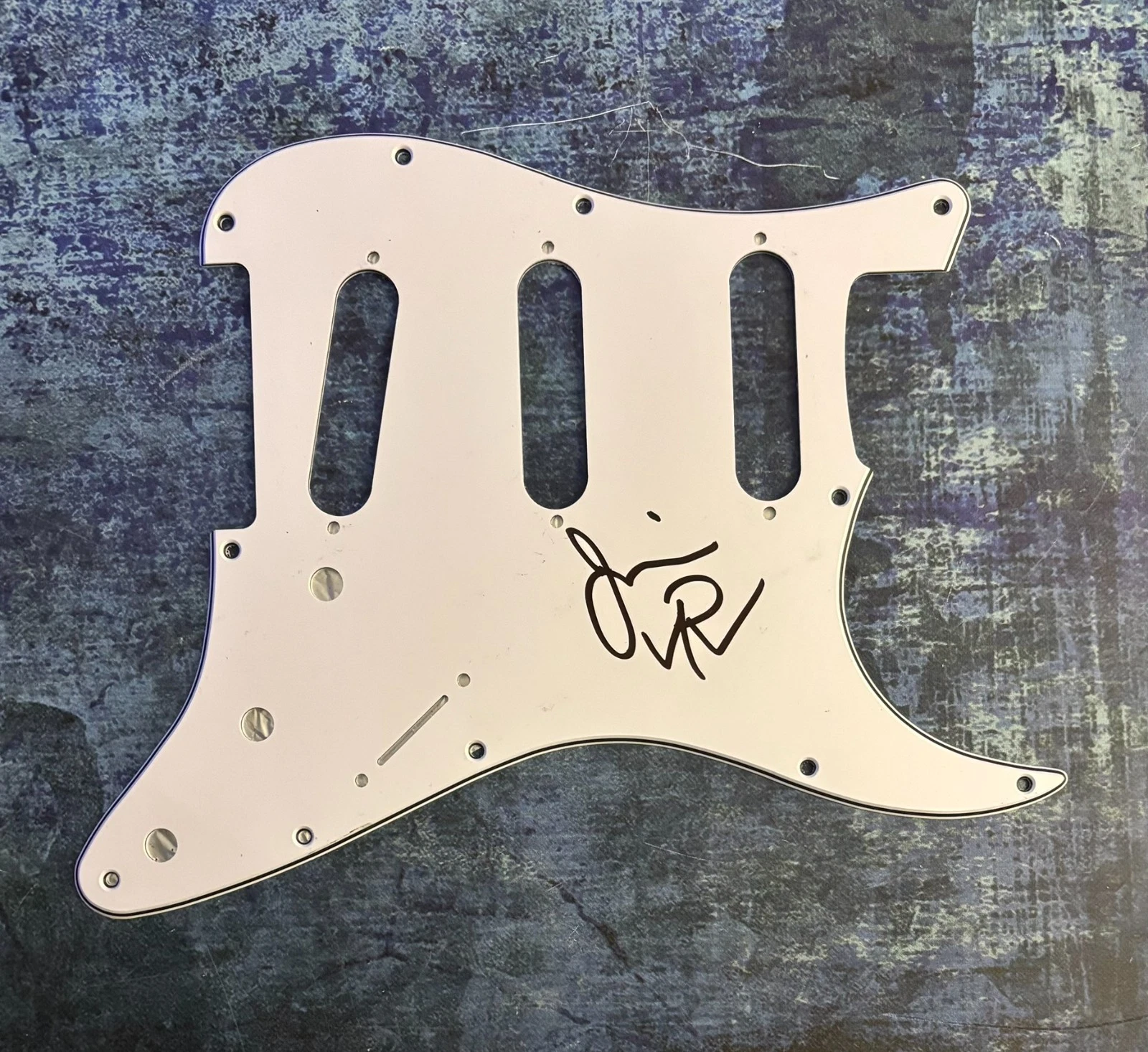 GFA Pennywise Band Singer * JIM LINDBERG * Signed Electric Pickguard PROOF COA