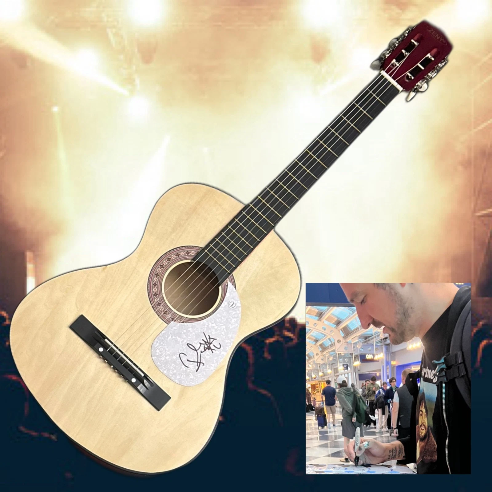 GFA Tape Deck Heart Recovery  * FRANK TURNER *  Signed Acoustic Guitar PROOF COA