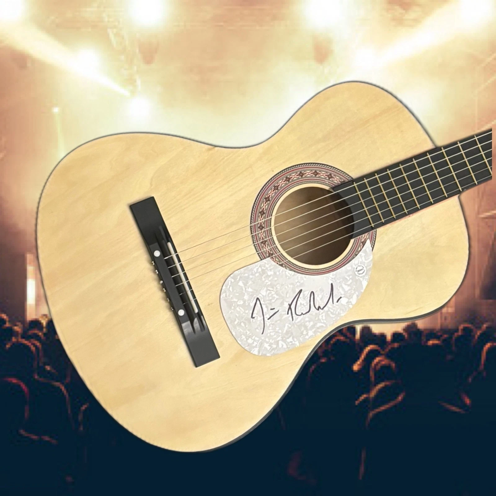 GFA The Blues Brothers  * JIM BELUSHI *  Signed Acoustic Guitar J4 COA
