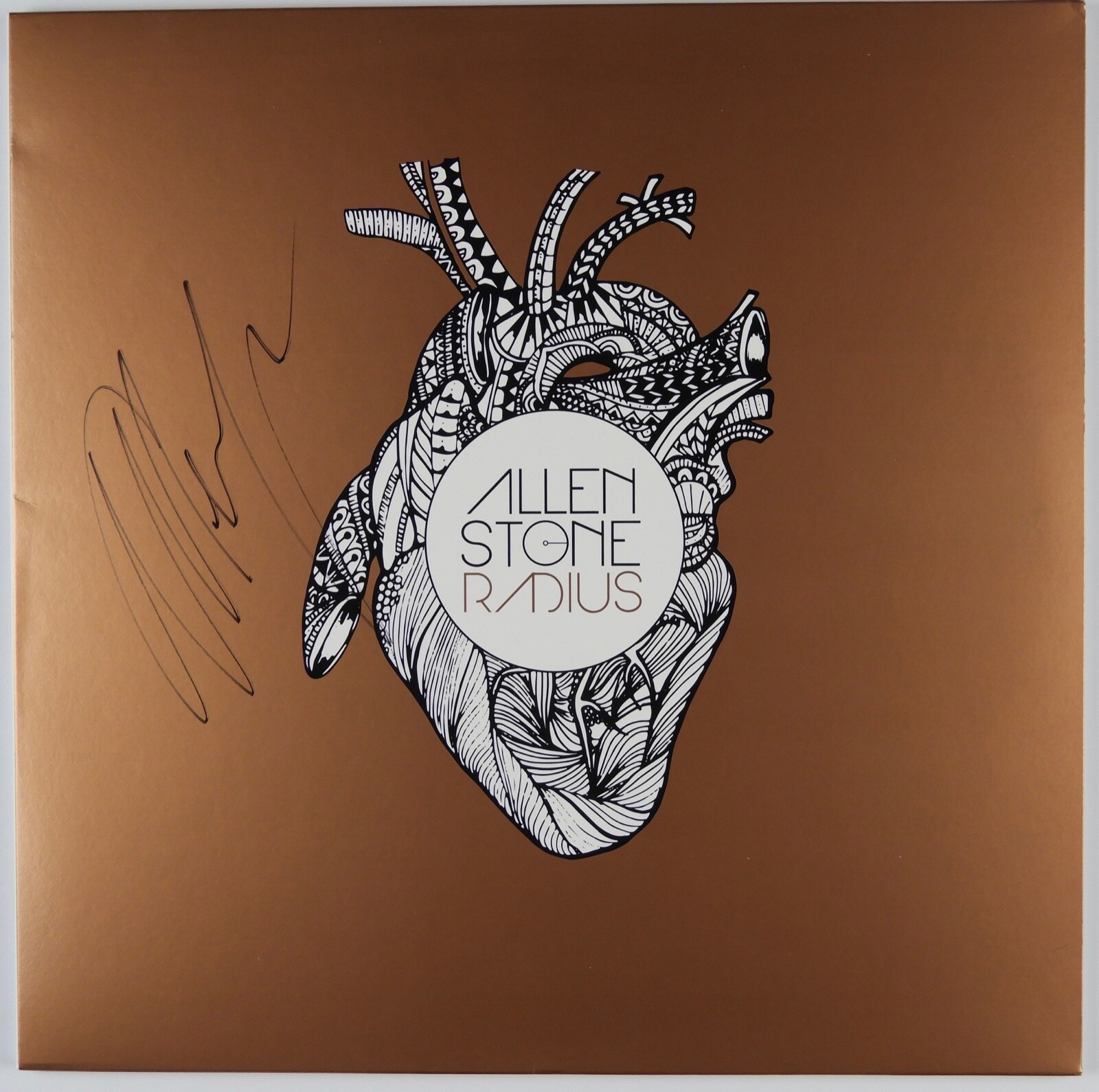 Allen Stone JSA Signed Autograph Record Album Vinyl Radius