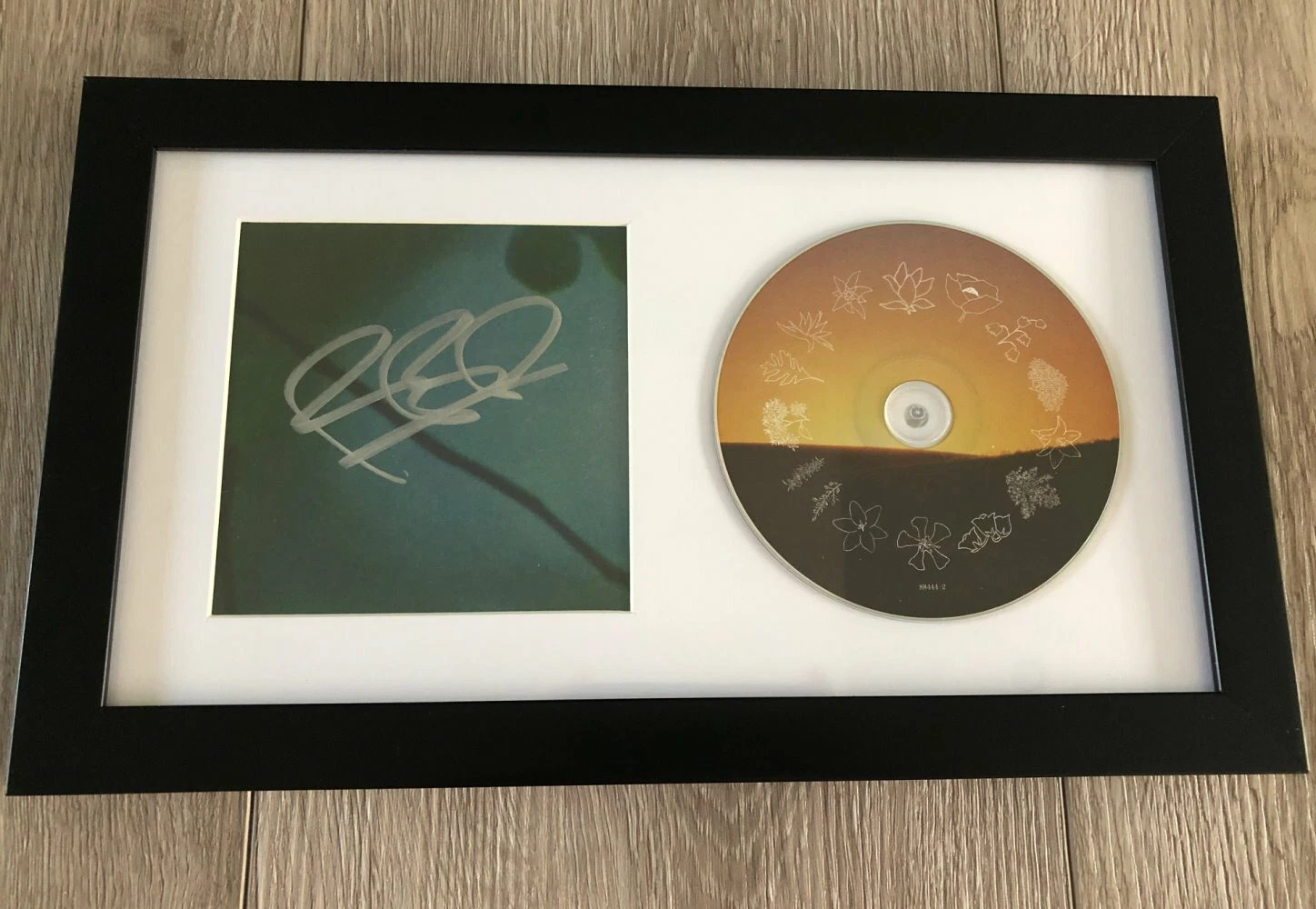 ROBIN PECKNOLD SIGNED AUTOGRAPH FLEET FOXES SHORE FRAMED & MATTED CD