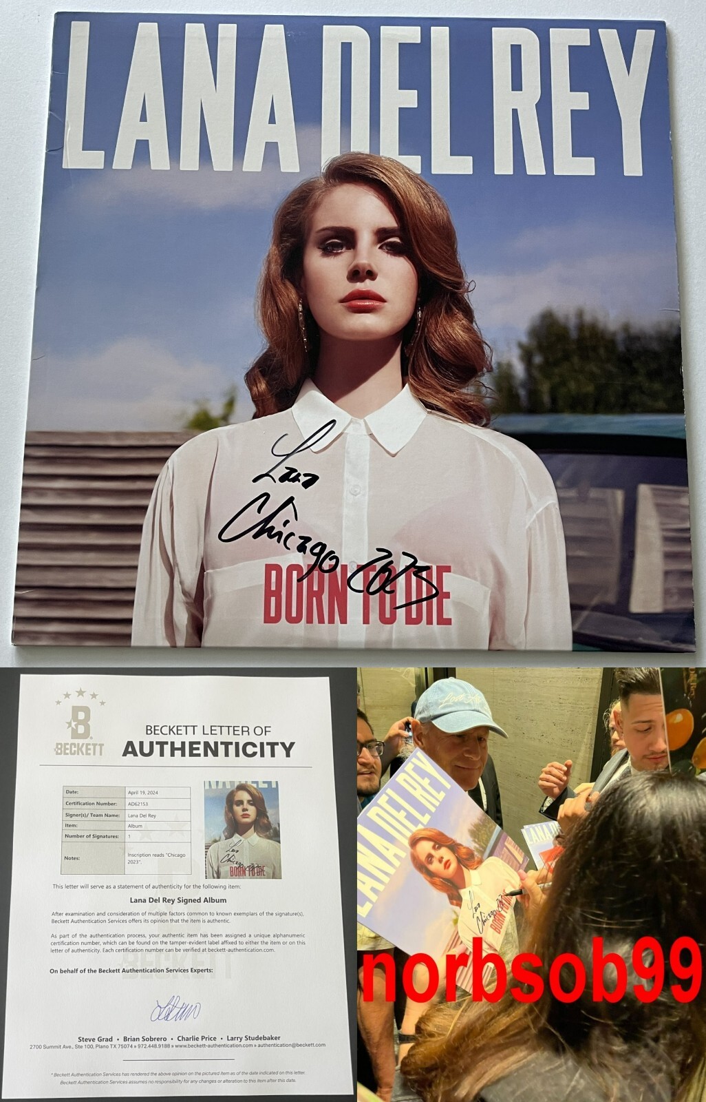 LANA DEL REY SIGNED AUTOGRAPH BORN TO DIE VINYL RECORD w/EXACT PROOF BECKETT COA