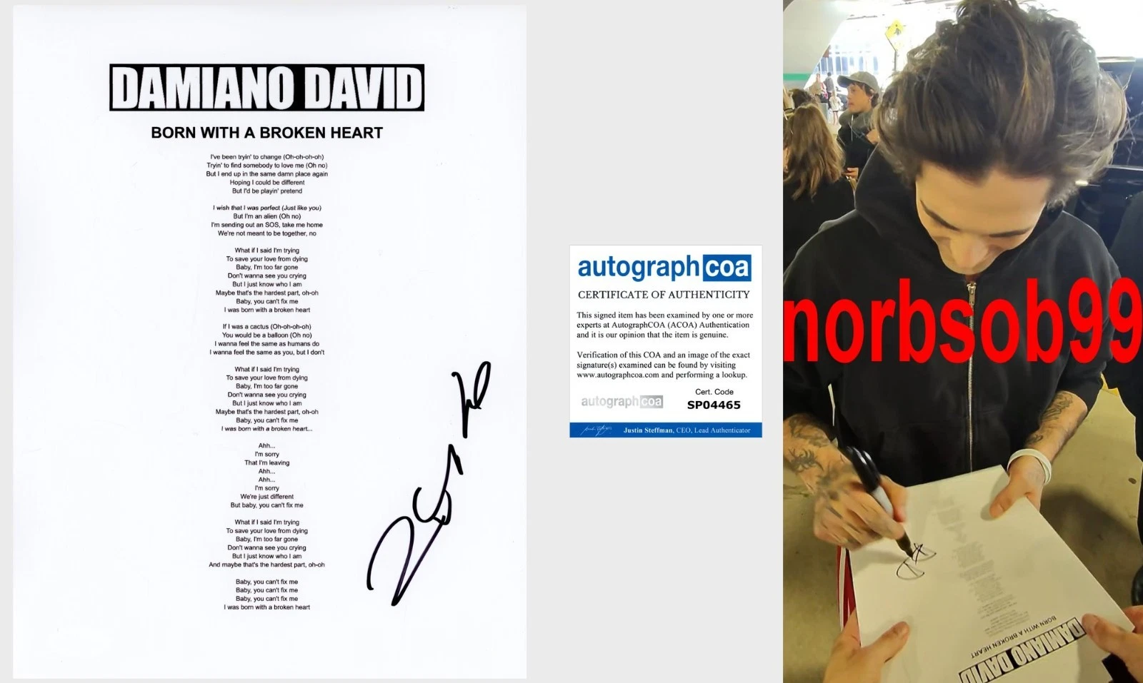DAMIANO DAVID SIGNED MANESKIN BORN WITH A BROKEN HEART LYRIC w/EXACT PROOF & COA