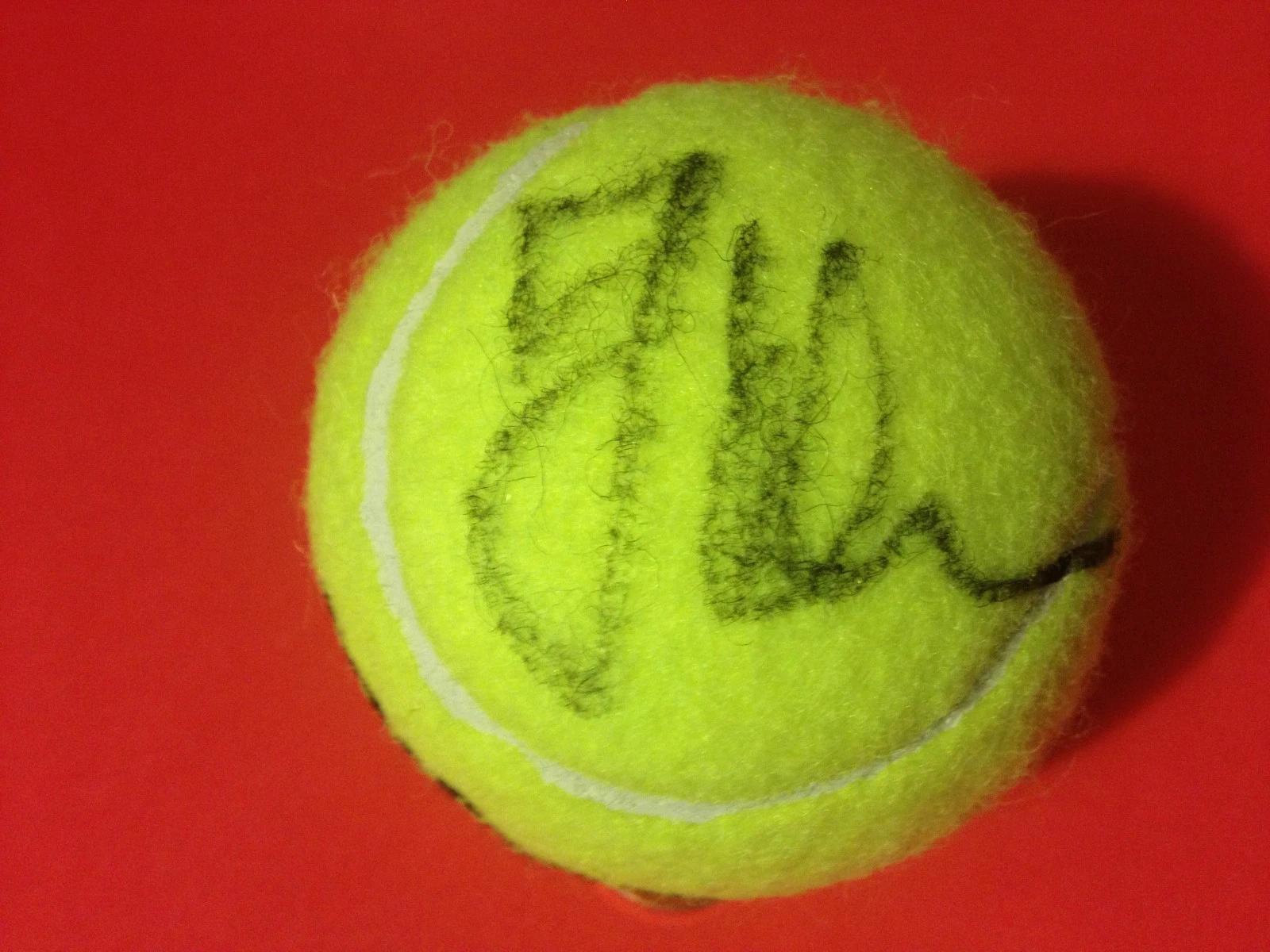 Jelena Jankovic Wilson Tennis Ball Signed Auto