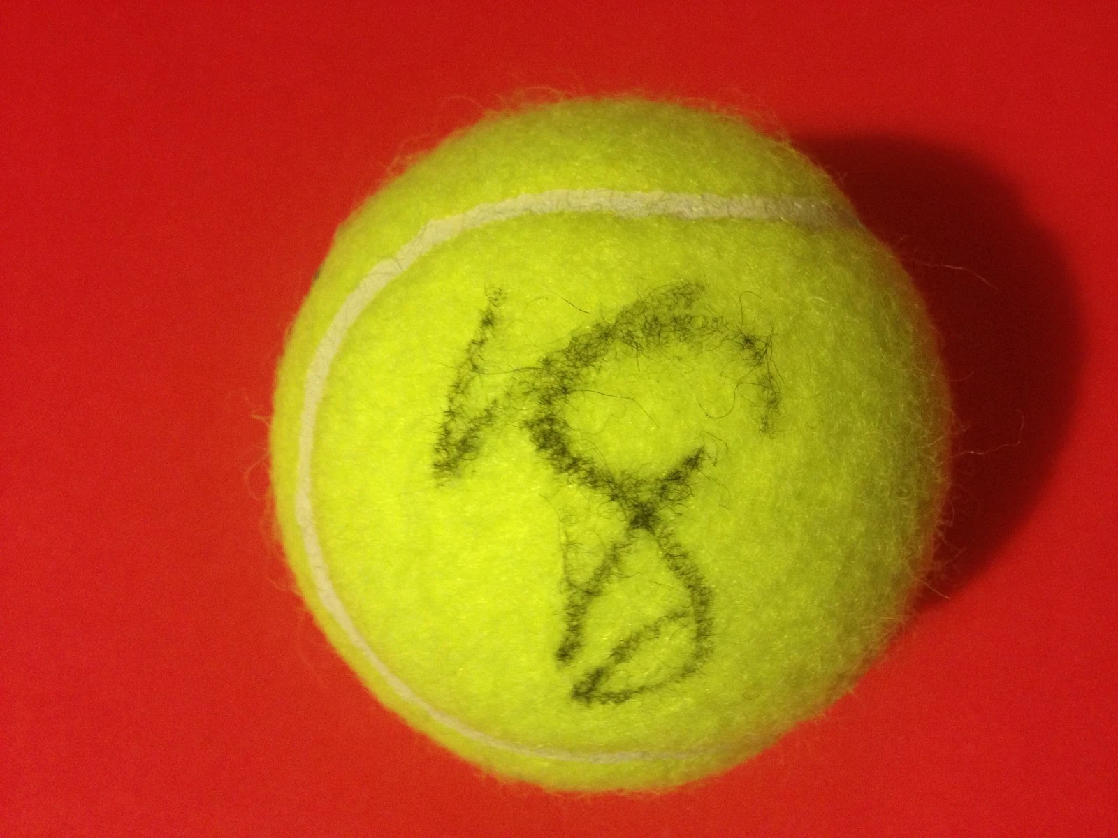 VANIA KING USA WILSON TENNIS BALL SIGNED AUTO COLLECTIBLE MEMORABILIA
