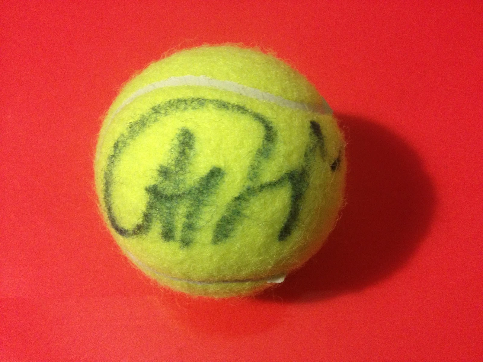 ANASTASIA RODIONOVA PENN TENNIS BALL SIGNED AUTO COLLECTIBLE MEMORABILIA