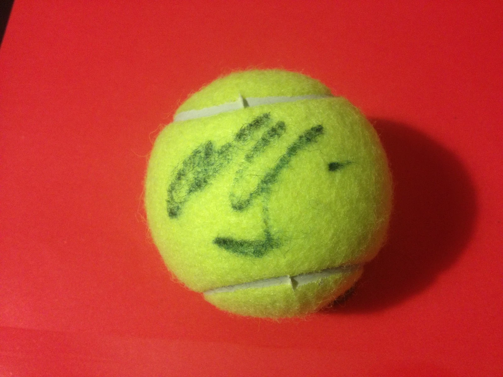 Marina Shamayko Penn Tennis Ball Signed Auto