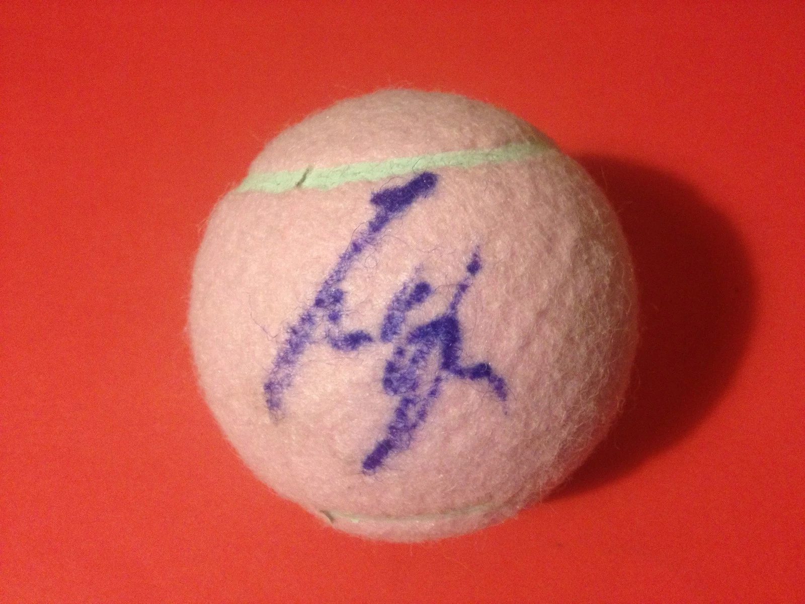 Darija Jurak Pink Wilson Hope Cancer Research Tennis Ball Signed Auto