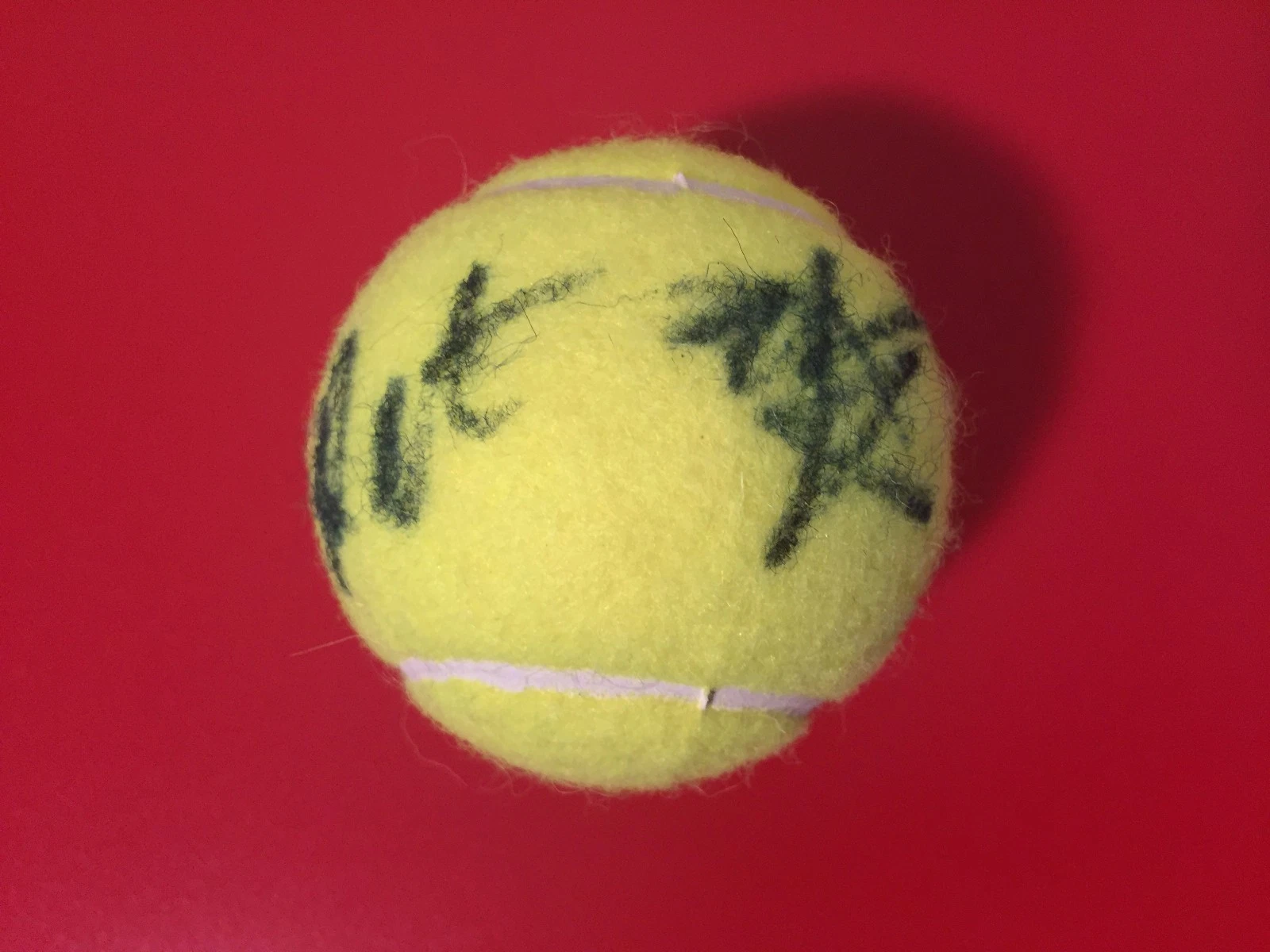 Abigail Spears Raquel Atawo Wilson Tennis Ball Signed Auto