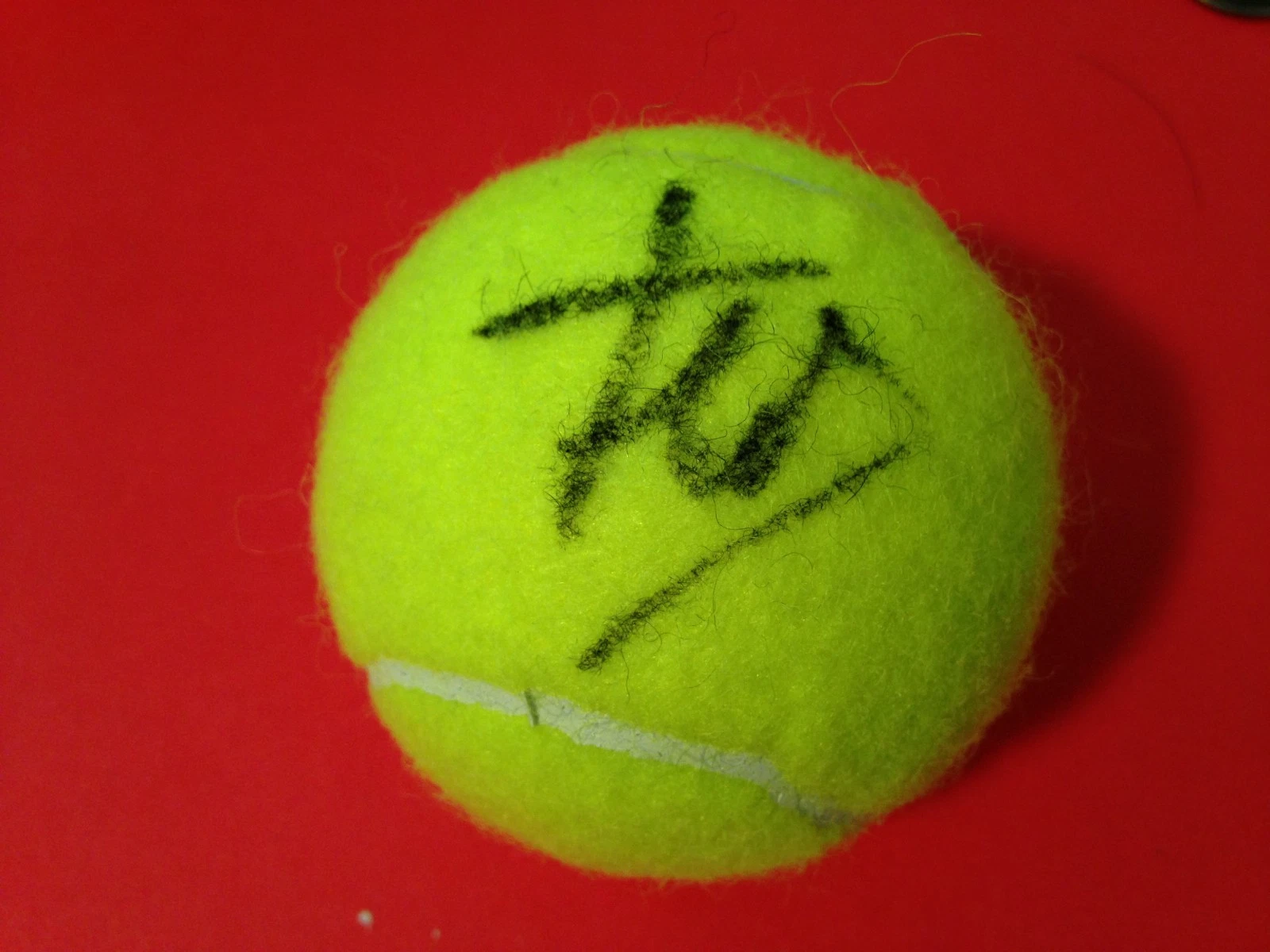 Flavia Pennetta Wilson Tennis Ball Signed Auto