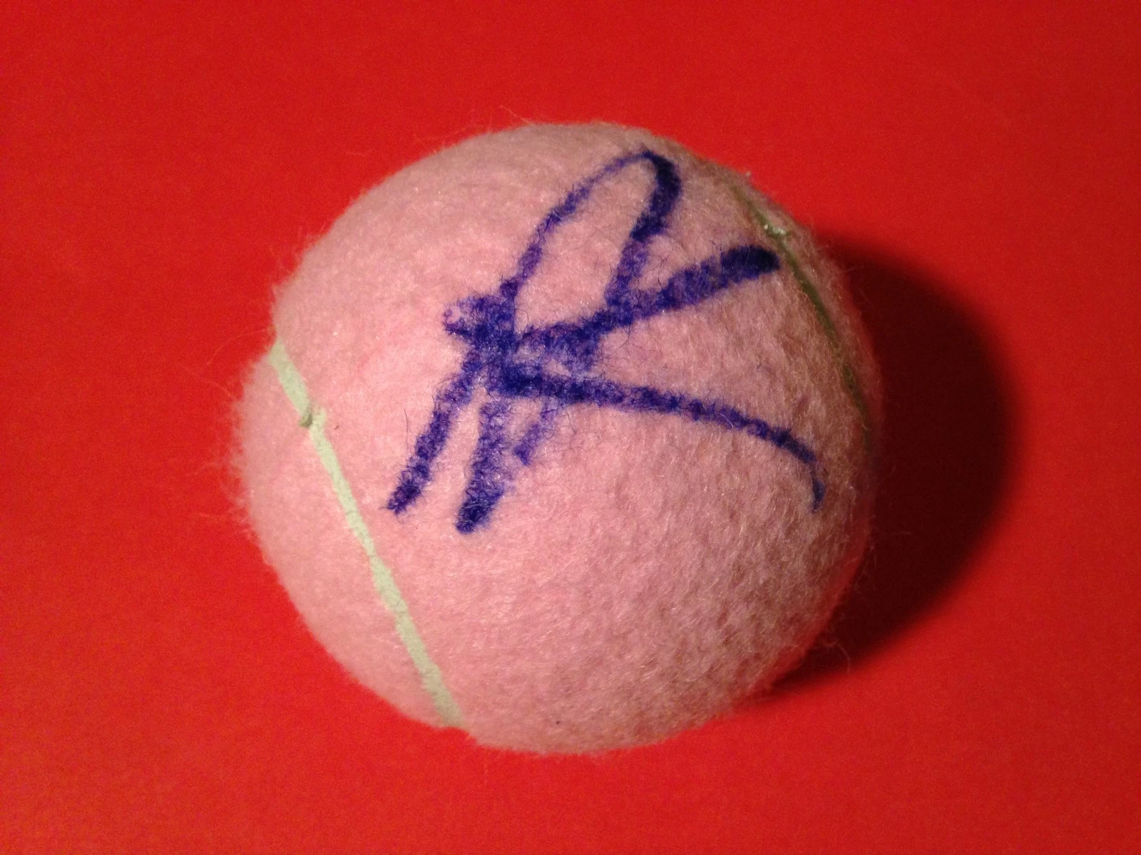 Aleksandra Krunic Pink Wilson Hope Cancer Research Tennis Ball Signed Auto