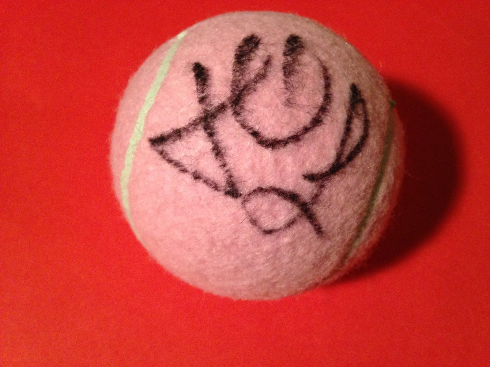Lucie Hradecka Pink Wilson Hope Cancer Research Tennis Ball Signed Auto