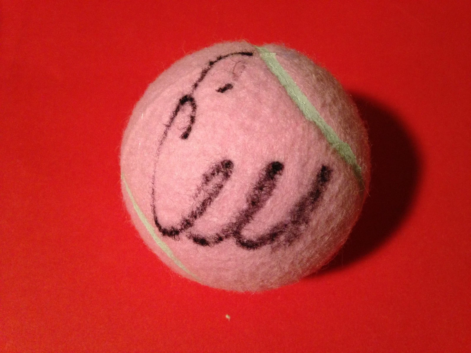 Ekaterina Makarova Pink Wilson Hope Cancer Research Tennis Ball Signed Auto