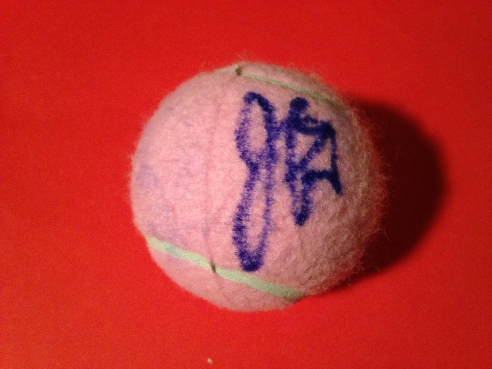 Julia Goerges Pink Wilson Hope Cancer Research Tennis Ball Signed Auto