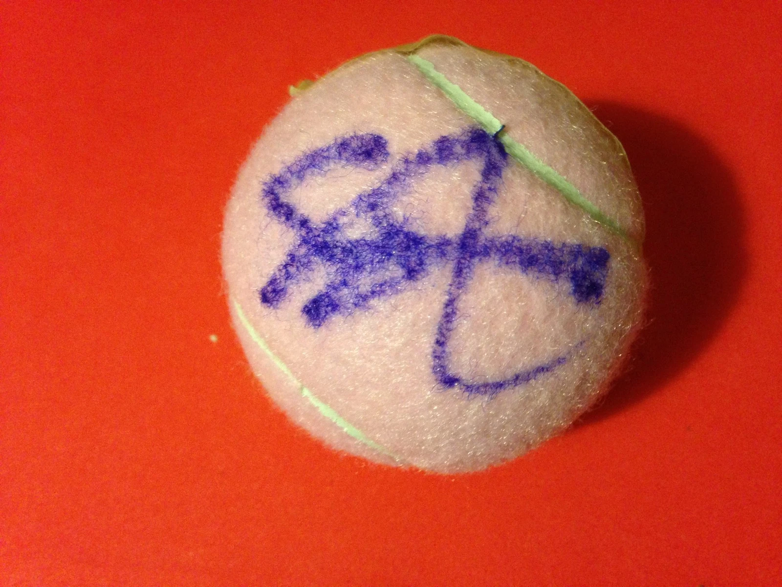 Sam Samantha Stosur Pink Wilson Hope Cancer Research Tennis Ball Signed Auto