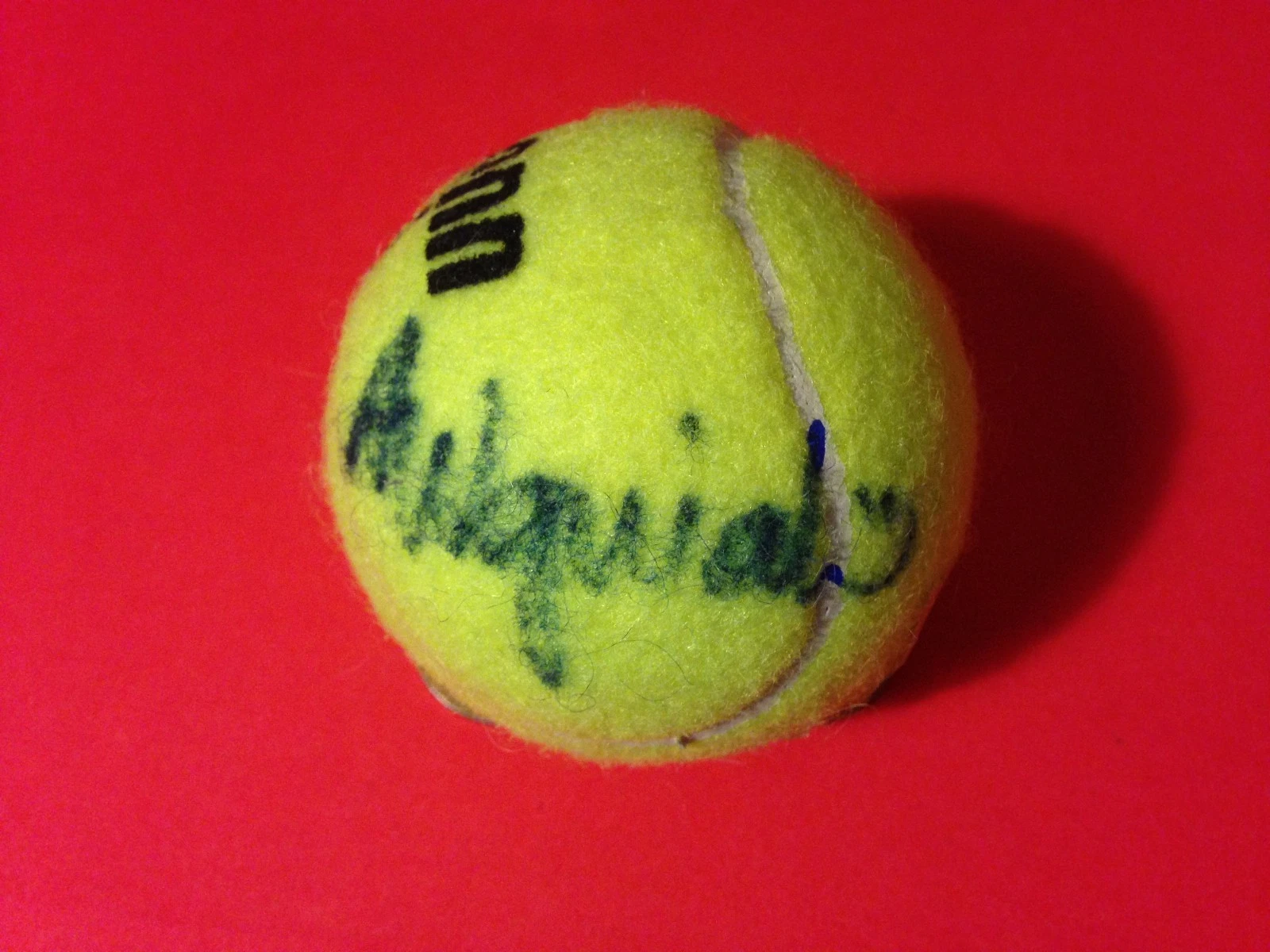 Alex Aleksandra Wozniak Penn Tennis Ball Signed Auto