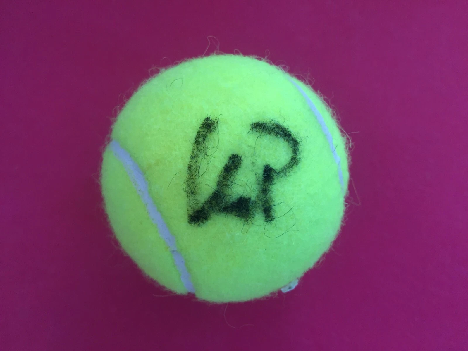 Donna Vekic Tennis Wilson Tennis Ball Signed Auto