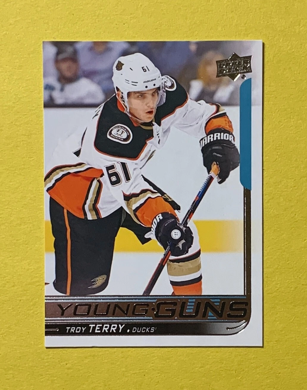 2018-19 UPPER DECK SERIES 1 TROY TERRY YOUNG GUNS #239 DUCKS