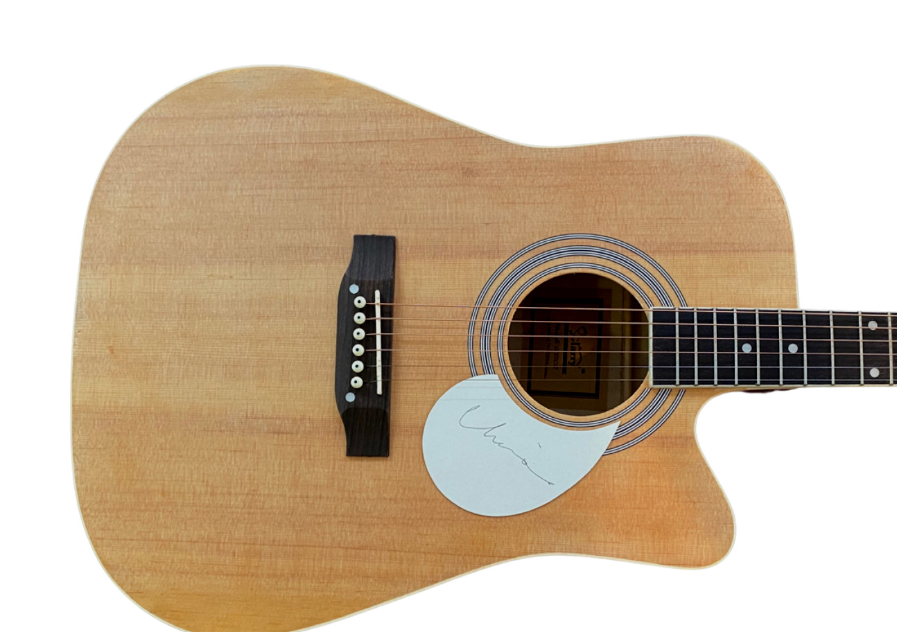 Chrissie Hynde Signed Full Size Acoustic Guitar The Pretenders ACOA COA