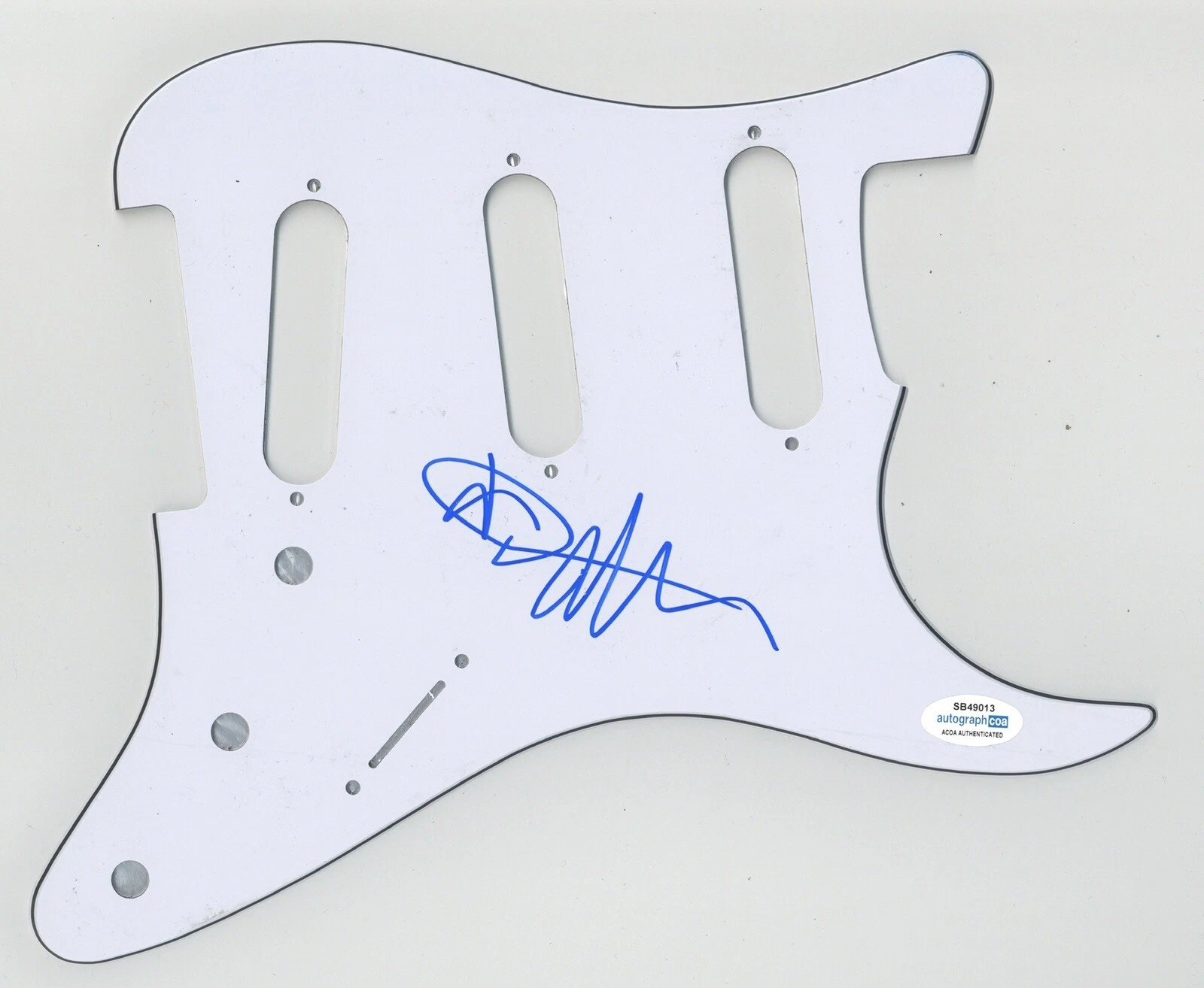 DEVON ALLMAN SIGNED AUTOGRAPH STRAT ELECTRIC PICKGUARD ACOA COA