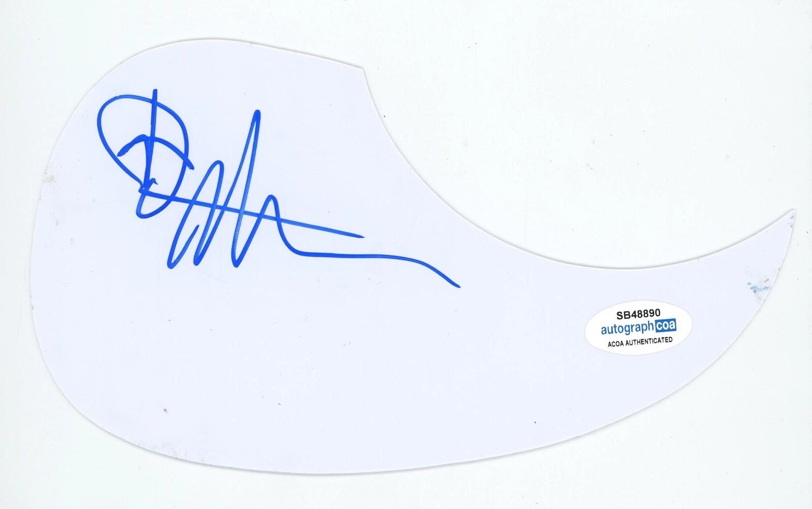 DEVON ALLMAN SIGNED AUTOGRAPH ACOUSTIC GUITAR PICKGUARD ACOA BLUES ROCK