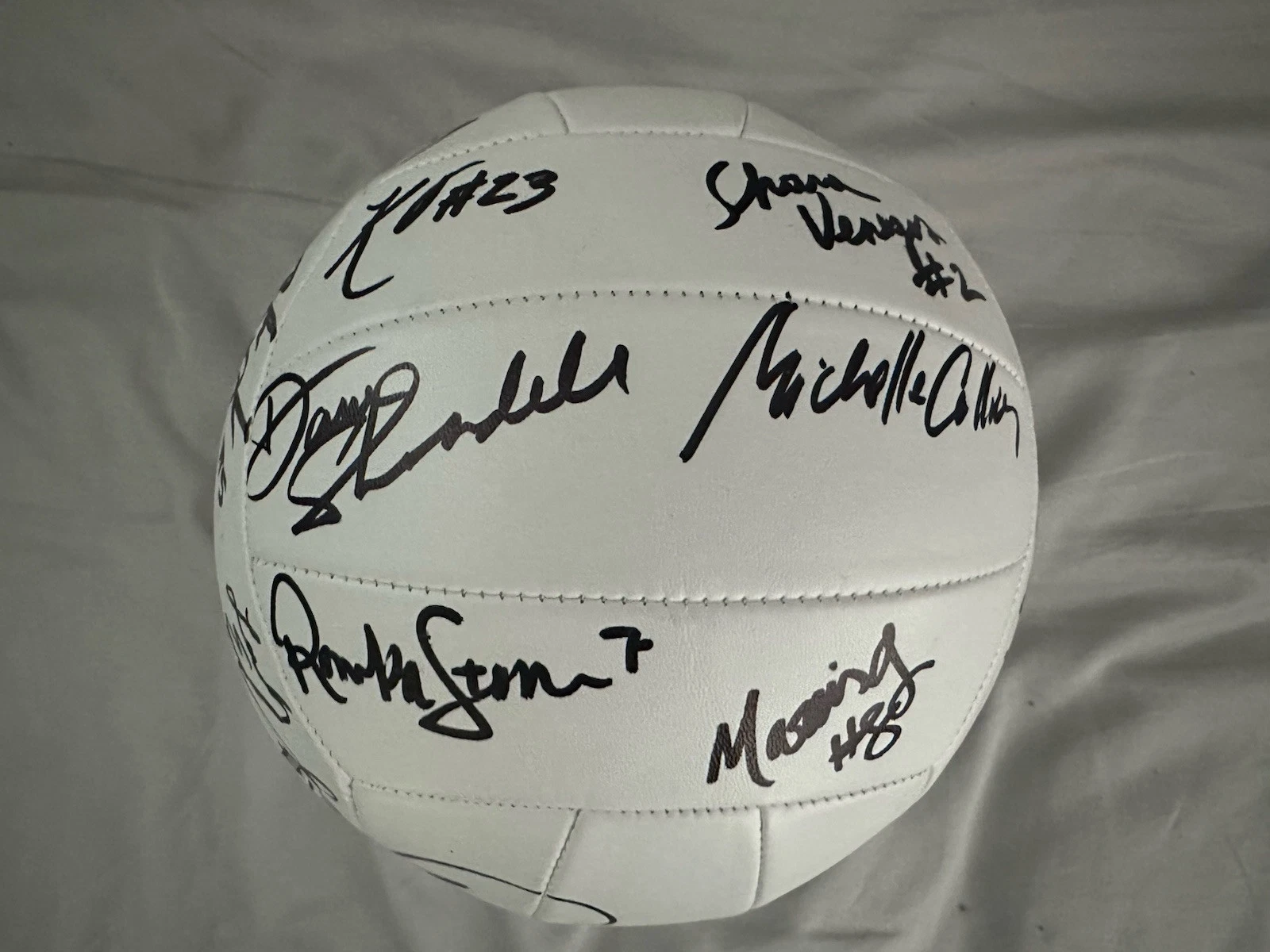 2025 Pro Volleyball Federation All Star Game Signed Ball Merritt Beason + 17