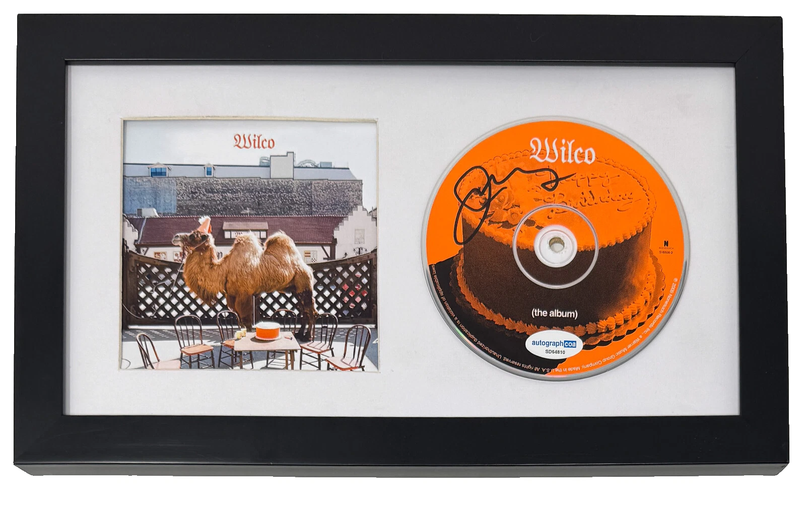 Jeff Tweedy Wilco (The Album) Signed Autograph CD Framed Display Autograph ACOA