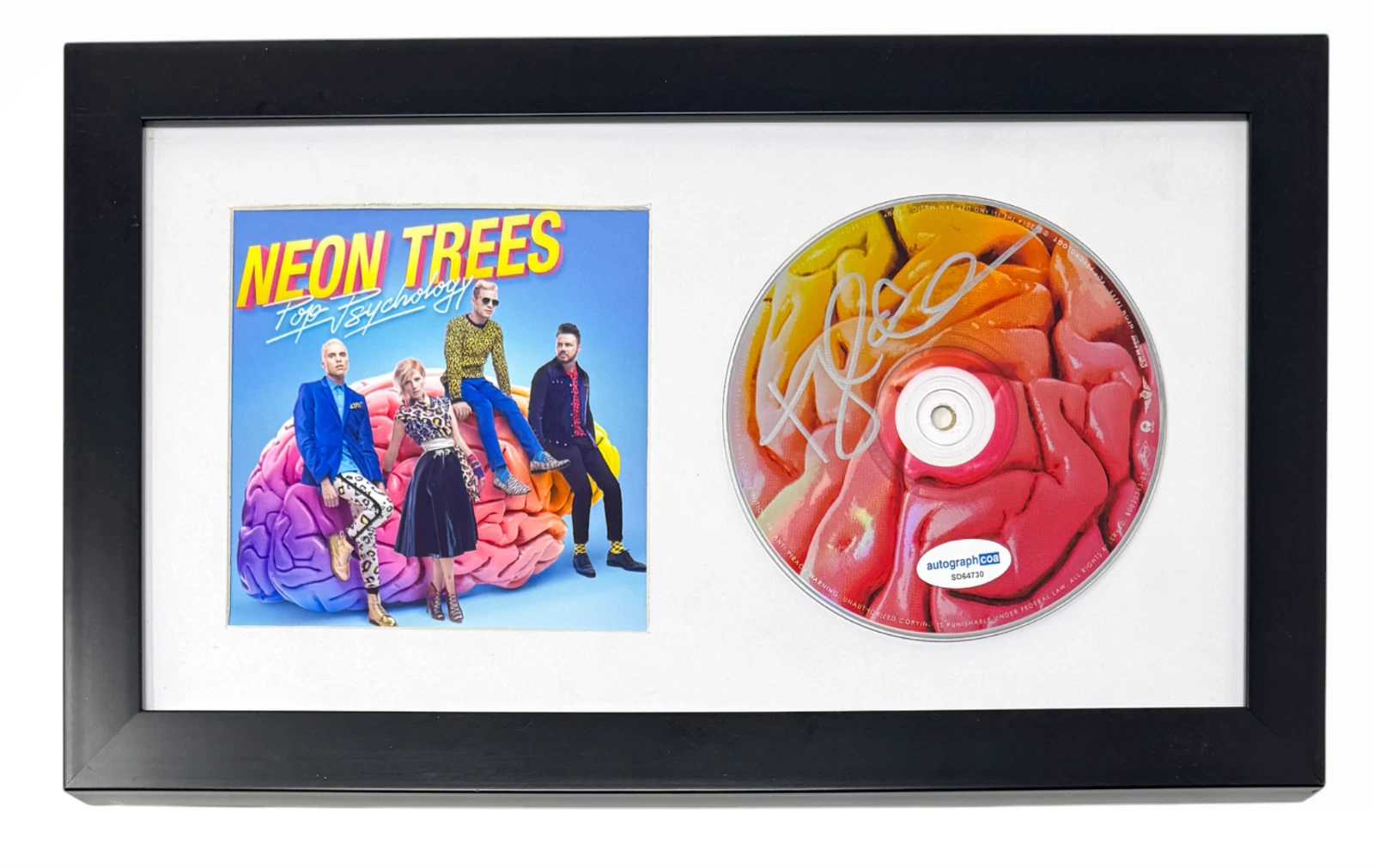 Neon Trees Tyler Glenn Signed Autograph 'Pop Psychology' CD Framed Display ACOA