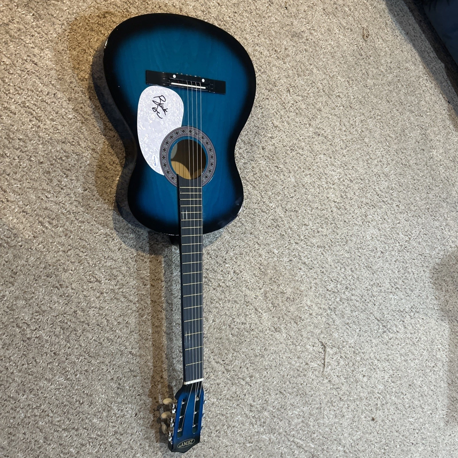 BUCK DHARMA SIGNED AUTOGRAPH 38” ACOUSTIC GUITAR ACOA BLUE OYSTER CULT