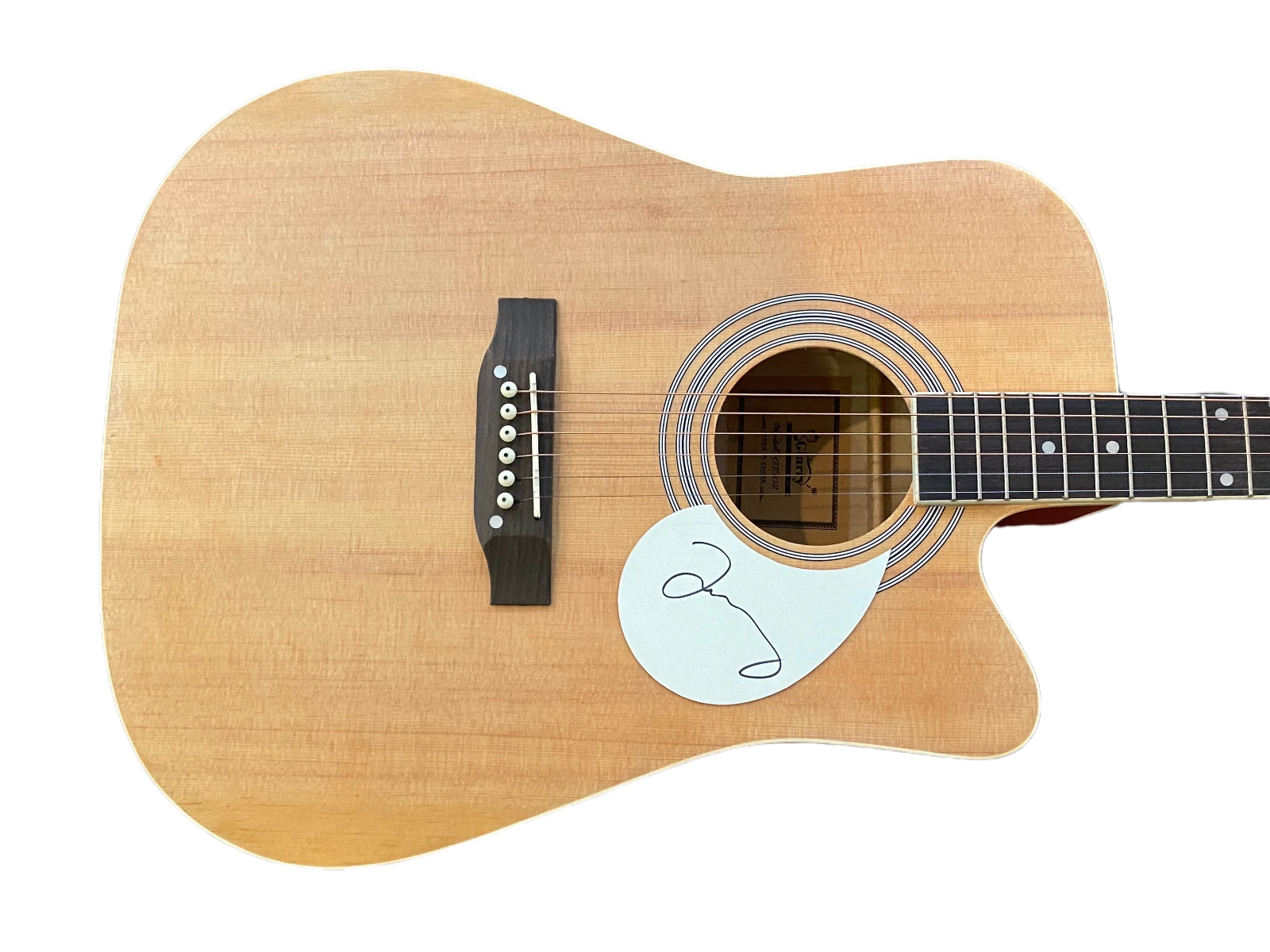 Jeff Tweedy Signed Autographed Full Size Acoustic Guitar Wilco ACOA COA