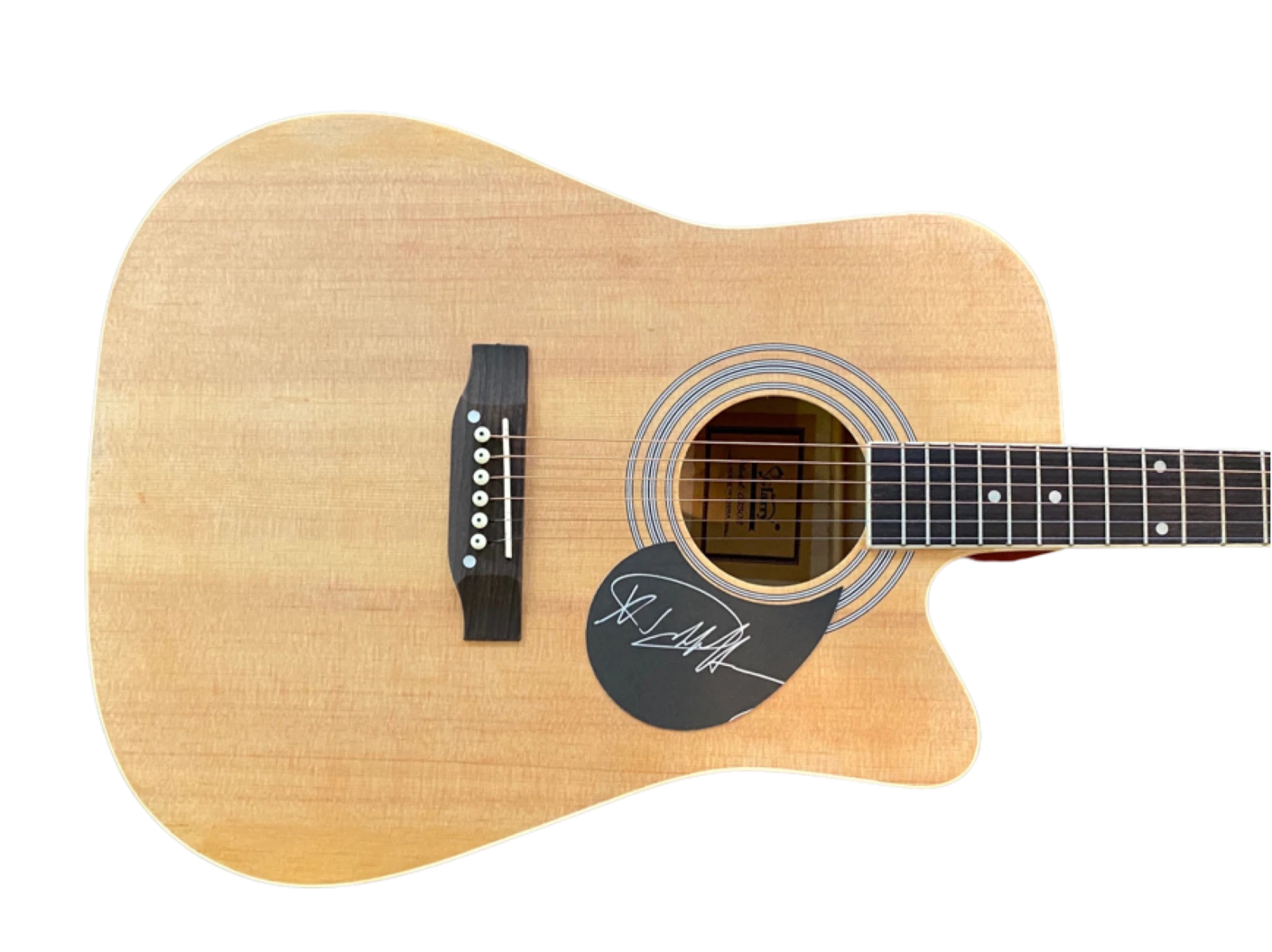 Debbie Harry Signed Autographed Full Size Acoustic Guitar Blondie ACOA COA