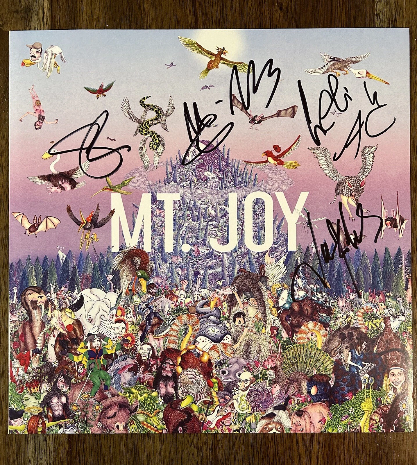 ‘Mt. Joy’ Full Band Signed Vinyl Album ‘Rearrange Us’ Matt Quinn +4