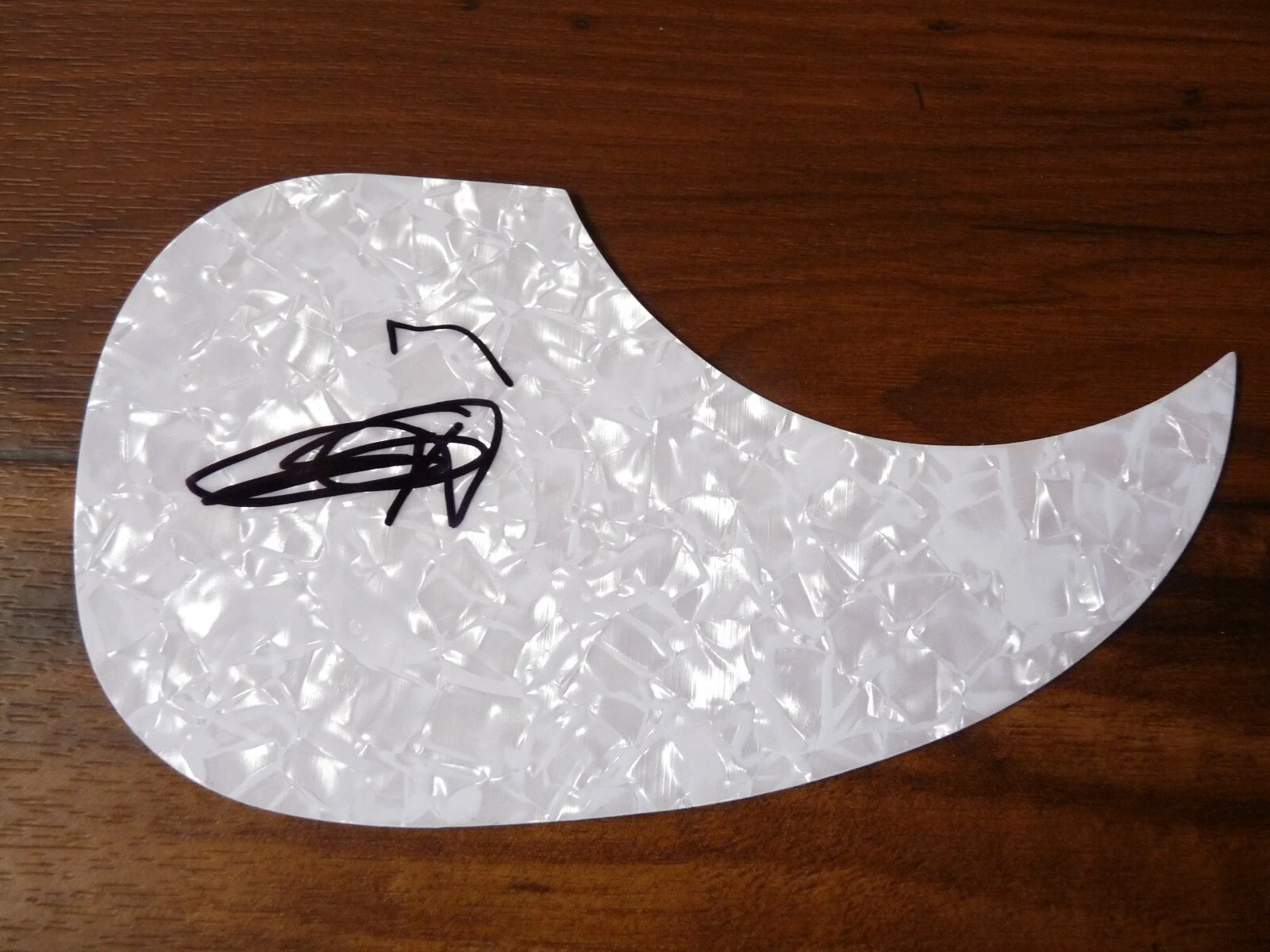 Jose Feliciano Autographed Signed Guitar Pickguard Guaranteed