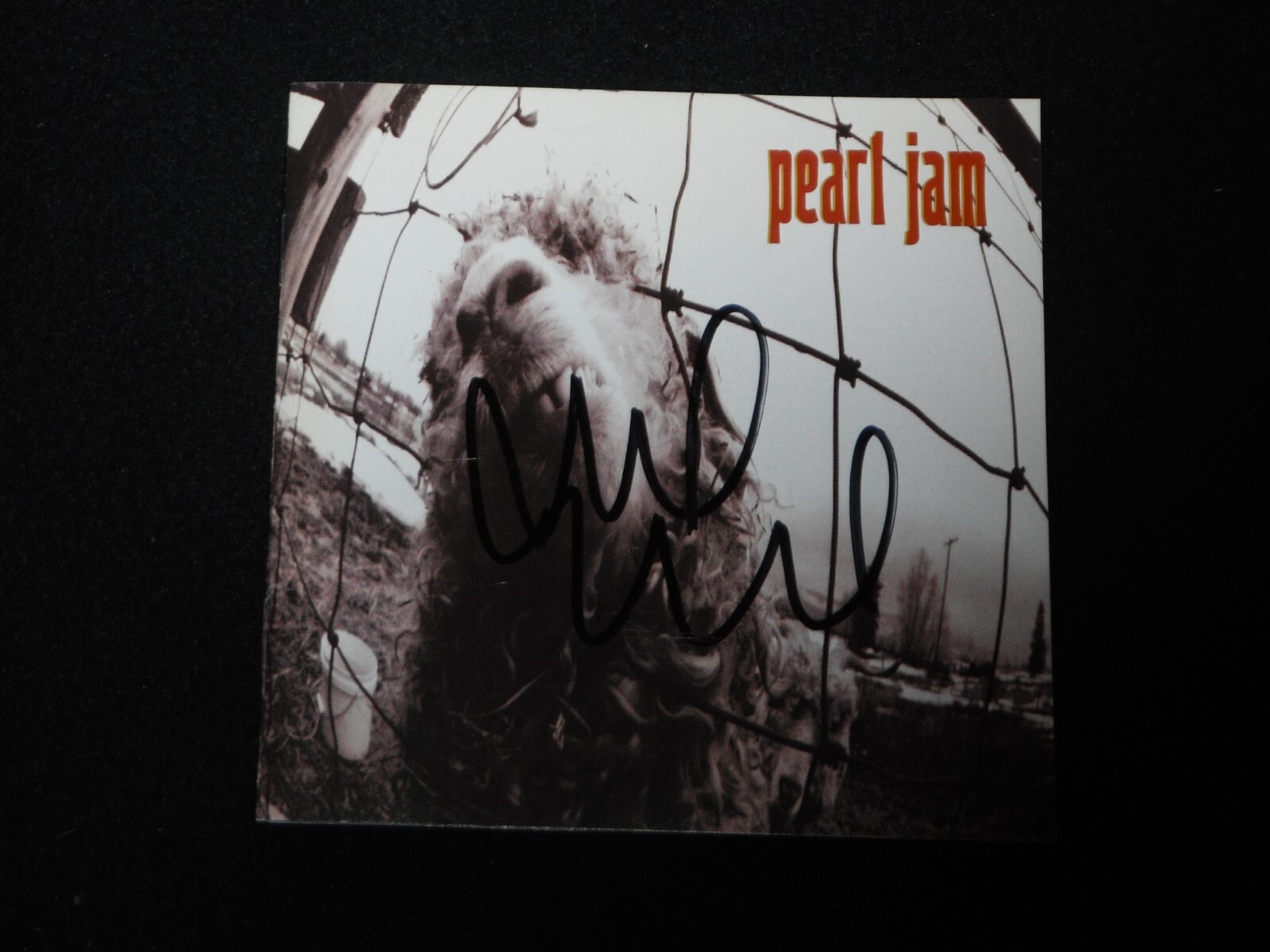 PEARL JAM MIKE MCCREADY SIGNED VS CD COVER